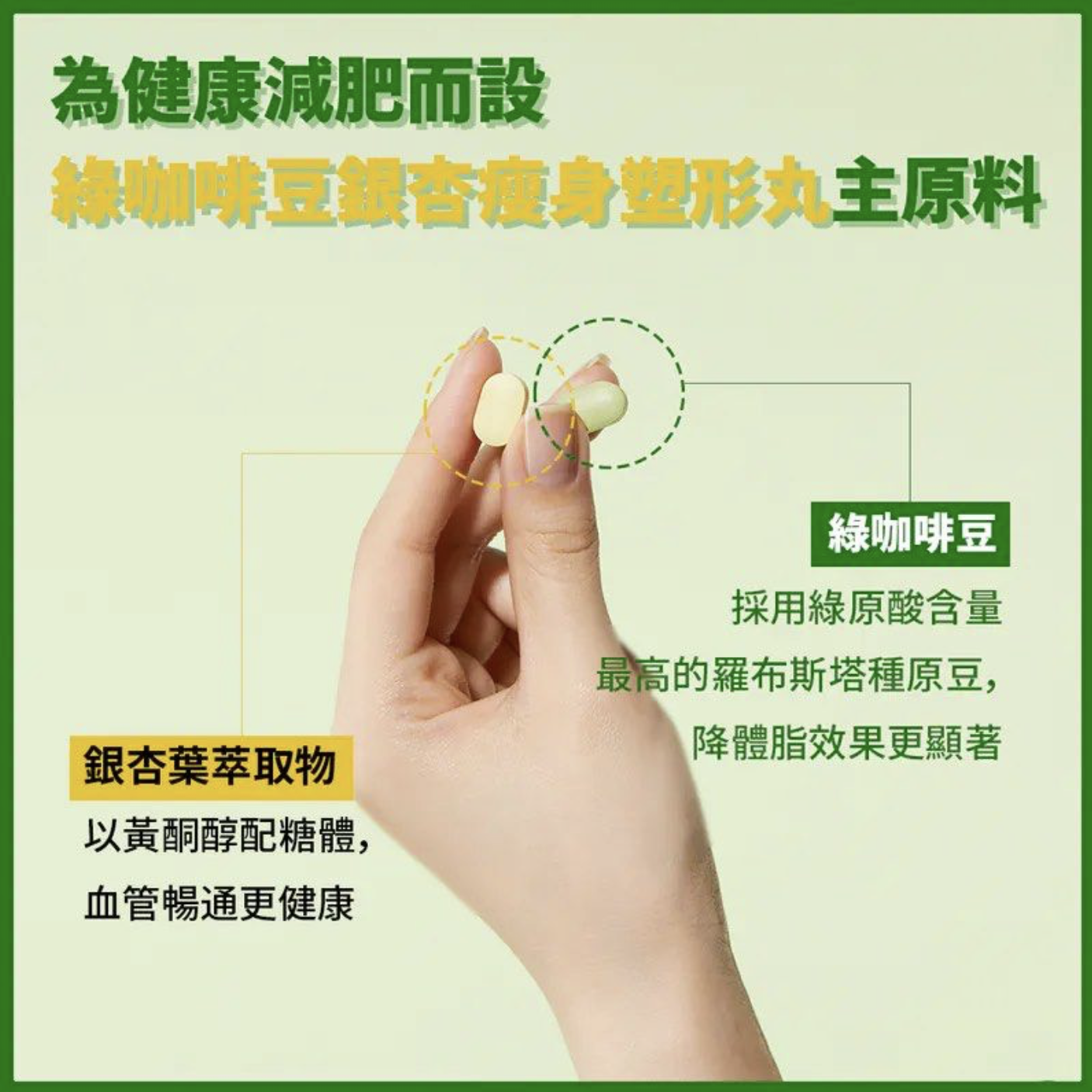 韓國 PRO NUTRITION CLOLINE 綠咖啡豆銀杏瘦身塑形丸