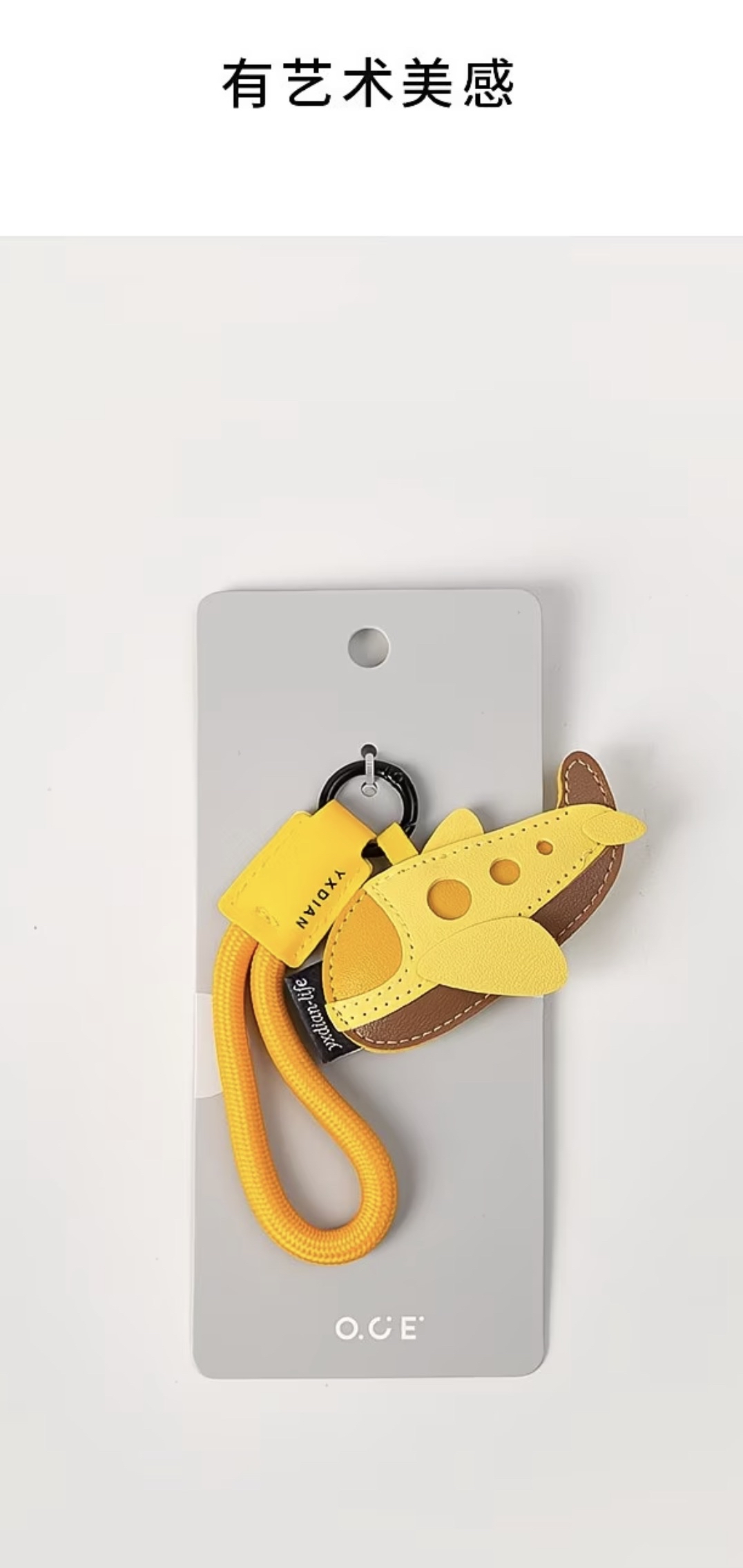 Stylish Hanging Bag Accessories 