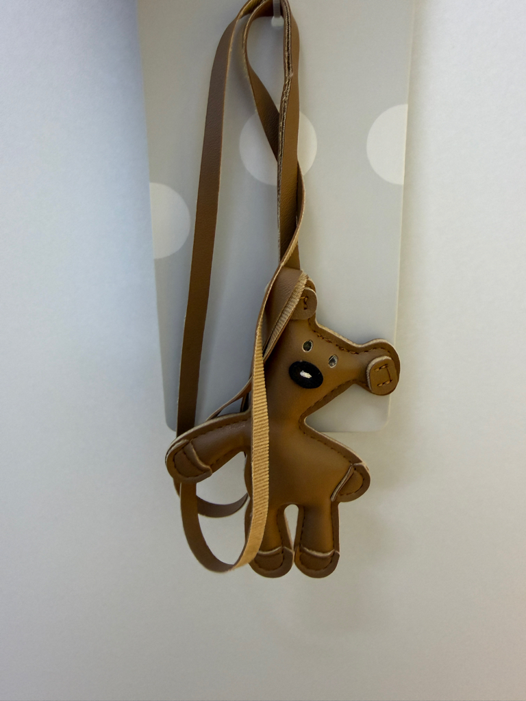 Stylish Hanging Bag Accessories 