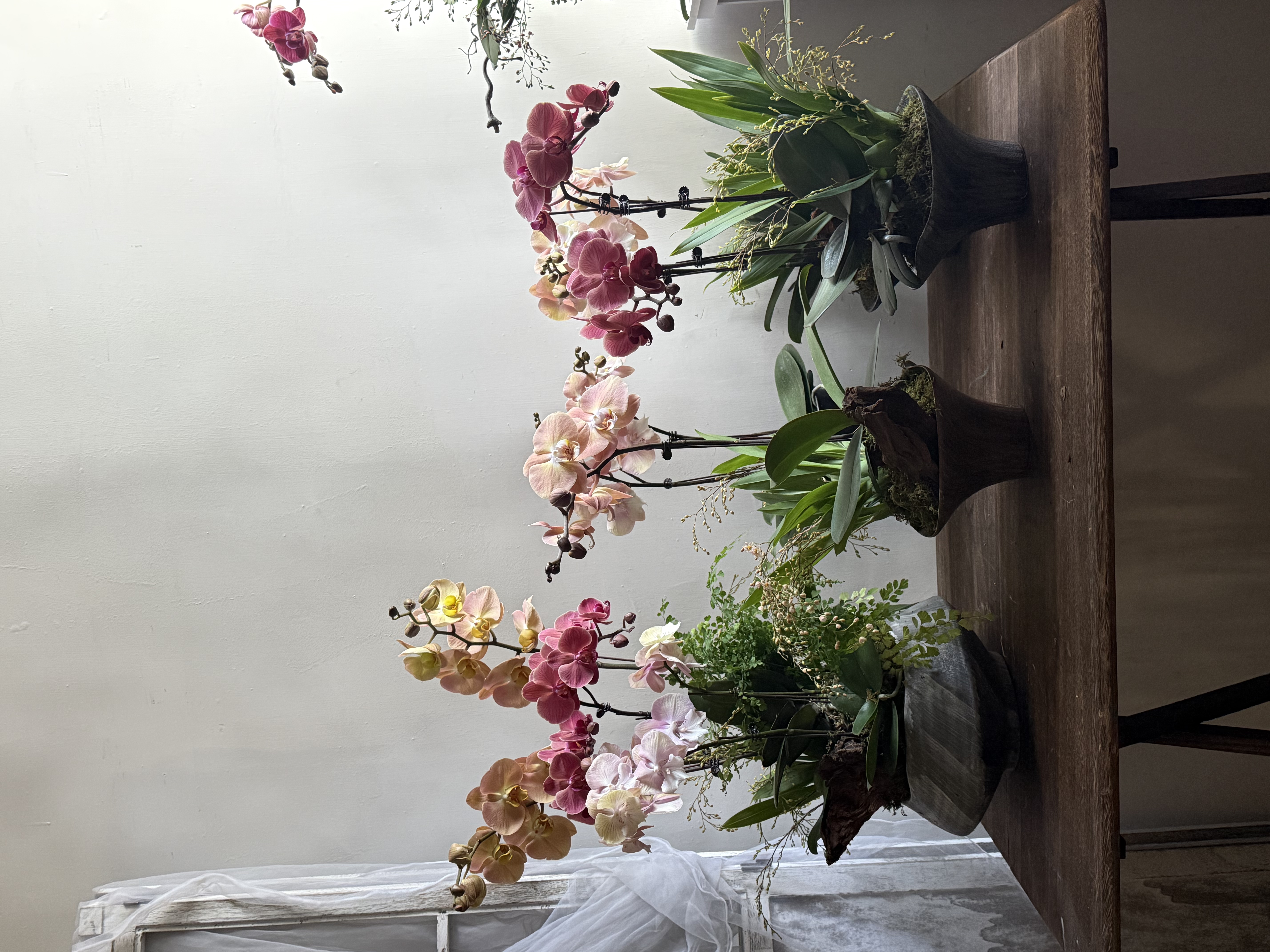 2026年 新年蘭花訂製💕 ‼️預訂發貨日期為1月28號至2月10號