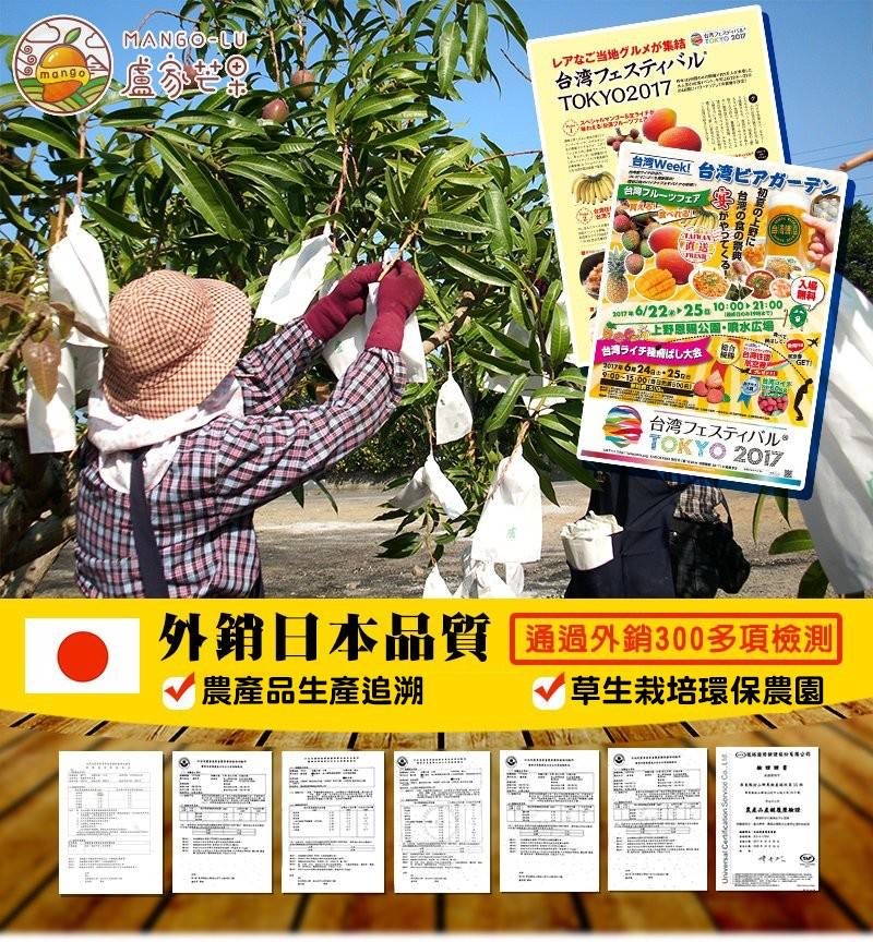 台彎直送 早鳥訂購 盧家愛文芒果乾(70g新包裝) 