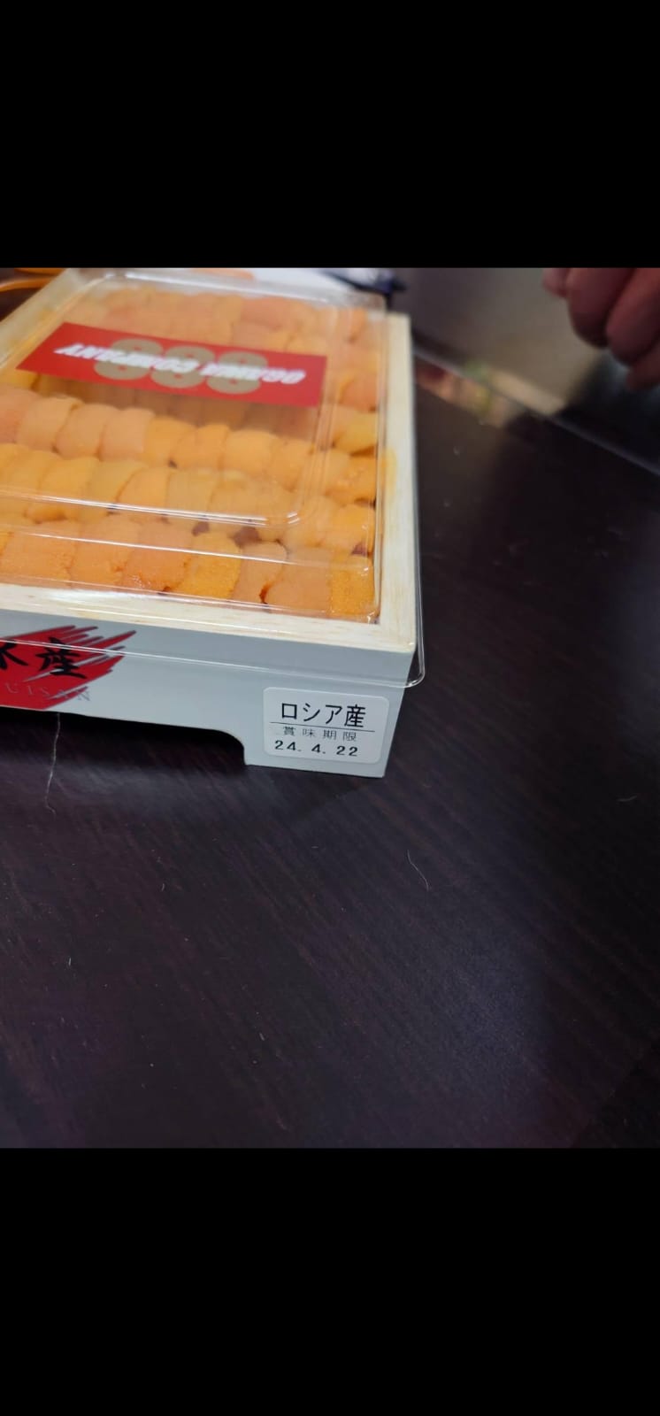 日本霧多布直排馬糞海膽