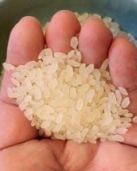 日本青森縣青天の霹靂米 2kg /包