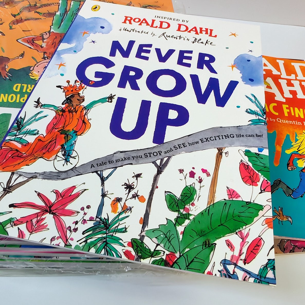 Roald Dahl 20 books  | A4 size  羅爾德達爾奇幻故事彩裝版大全套   B020