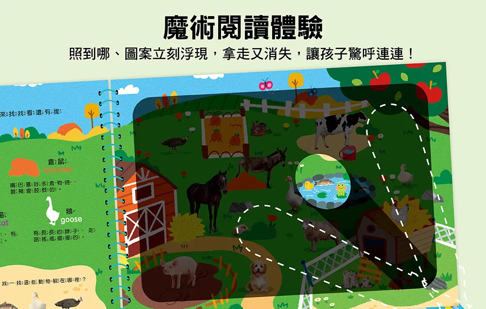 🔸預購貨品🔸神奇手電筒遊戲書：吼吼～發現囉，世界動物出來玩