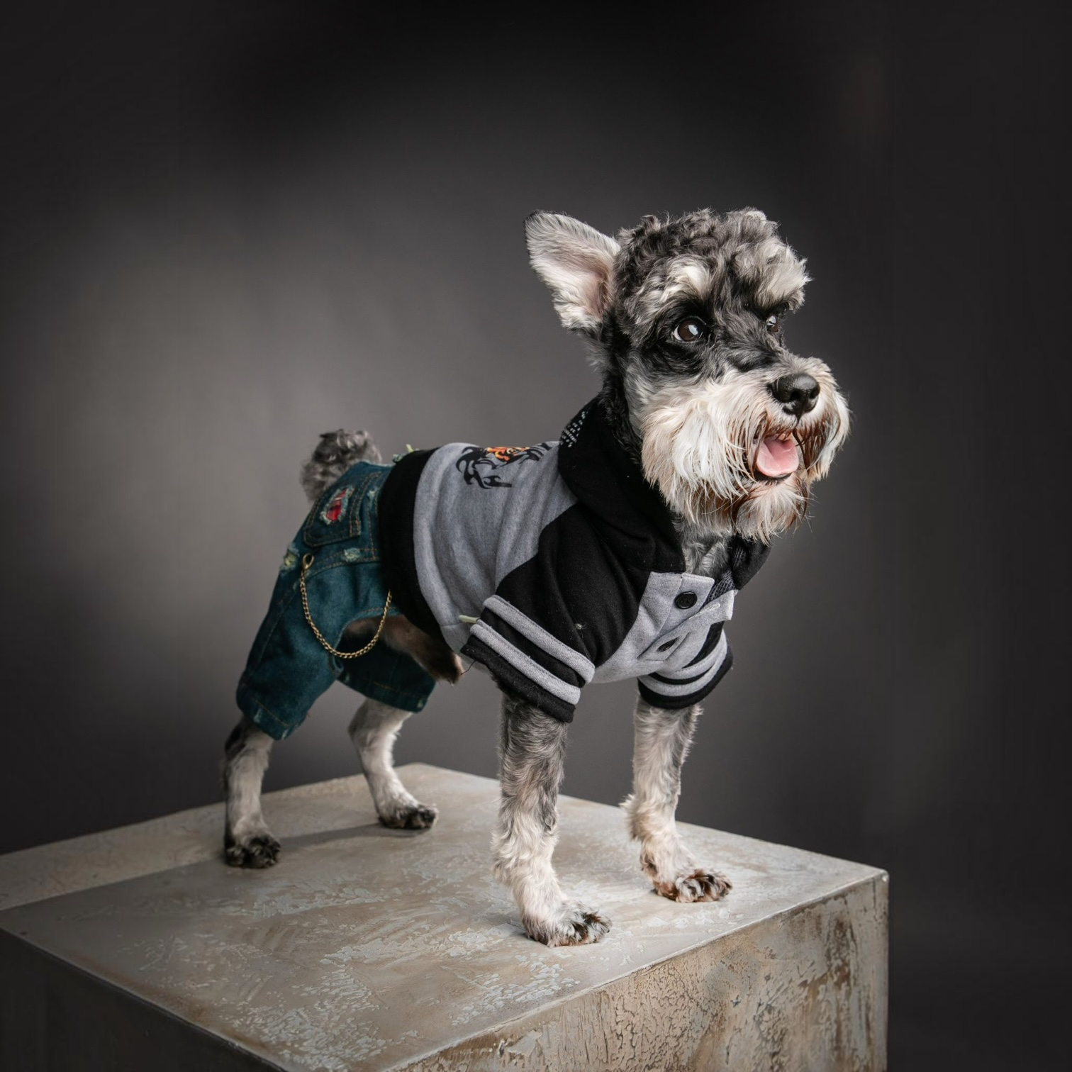 S412GY Ivor Hoodie Denim Jumper 老虎頭衫配牛仔褲