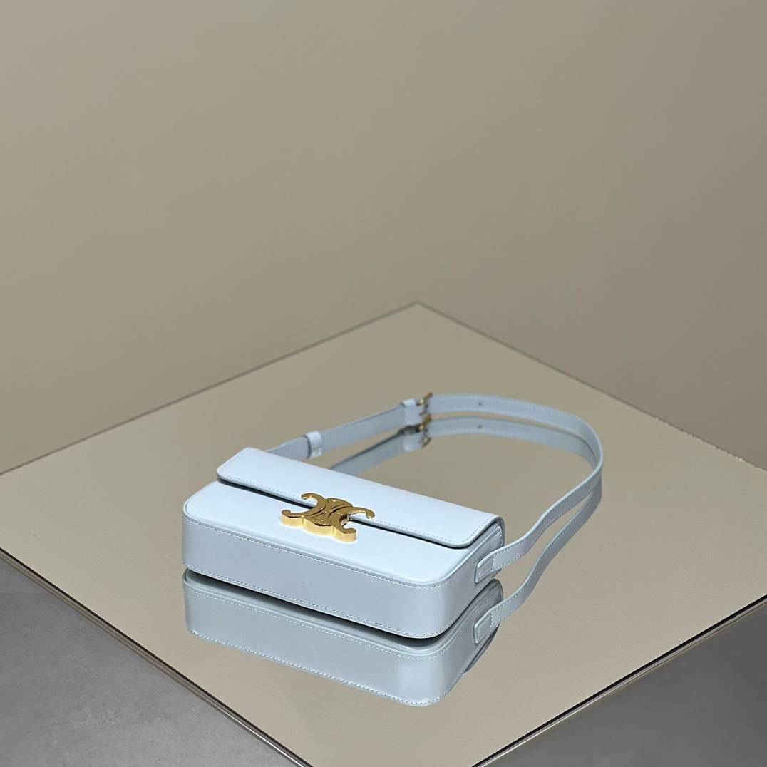 🔥大货实拍图 𝗖𝗘𝗟𝗜𝗡𝗘 ♥ 𝗧𝗥𝗜𝗢𝗠𝗣𝗛𝗘 𝗦𝗛𝗢𝗨𝗟𝗗𝗘𝗥 𝗕𝗔𝗚 型号：194143 尺寸：20*10*4cm