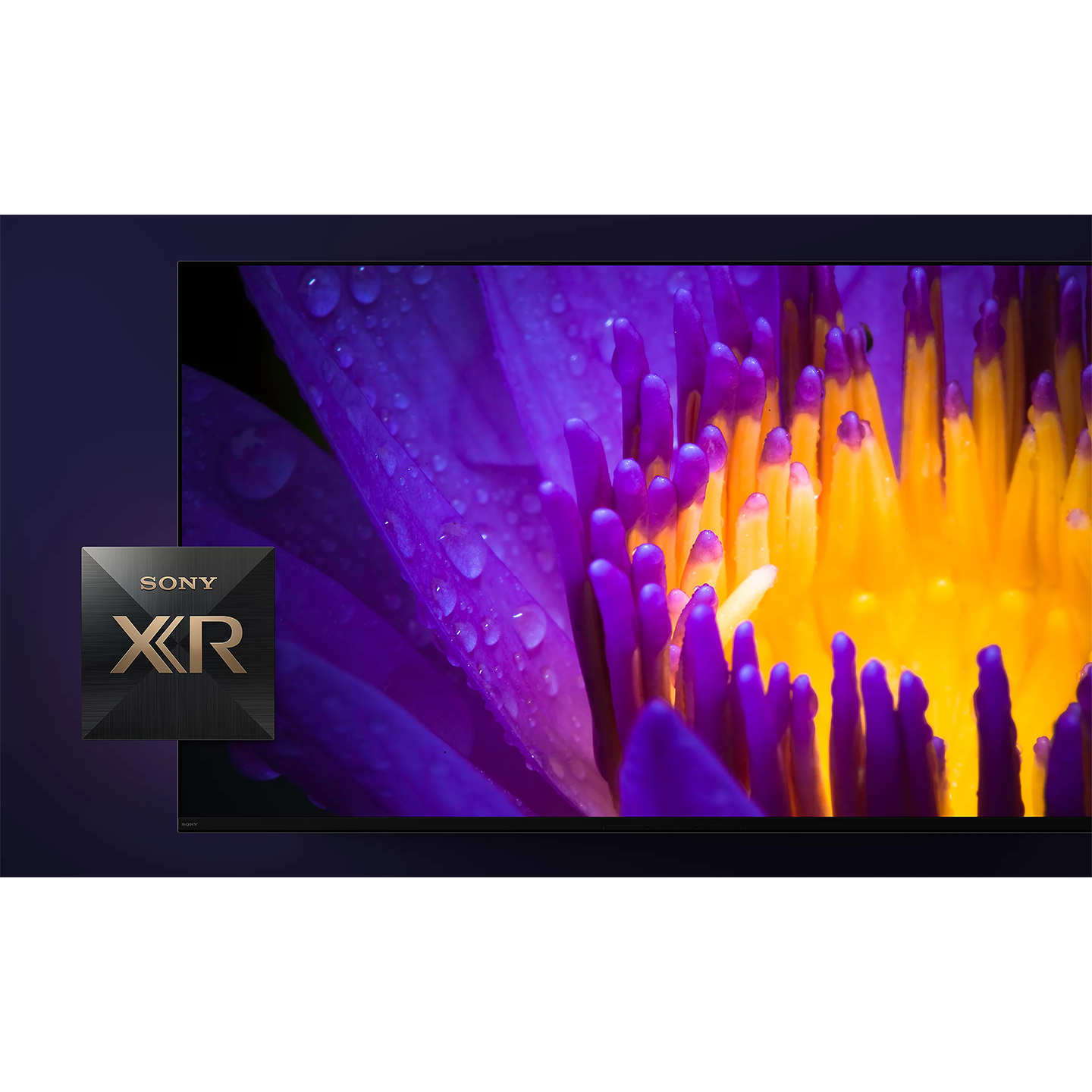 Sony 77" BRAVIA XR OLED 4K Google TV (XR-77A80L)