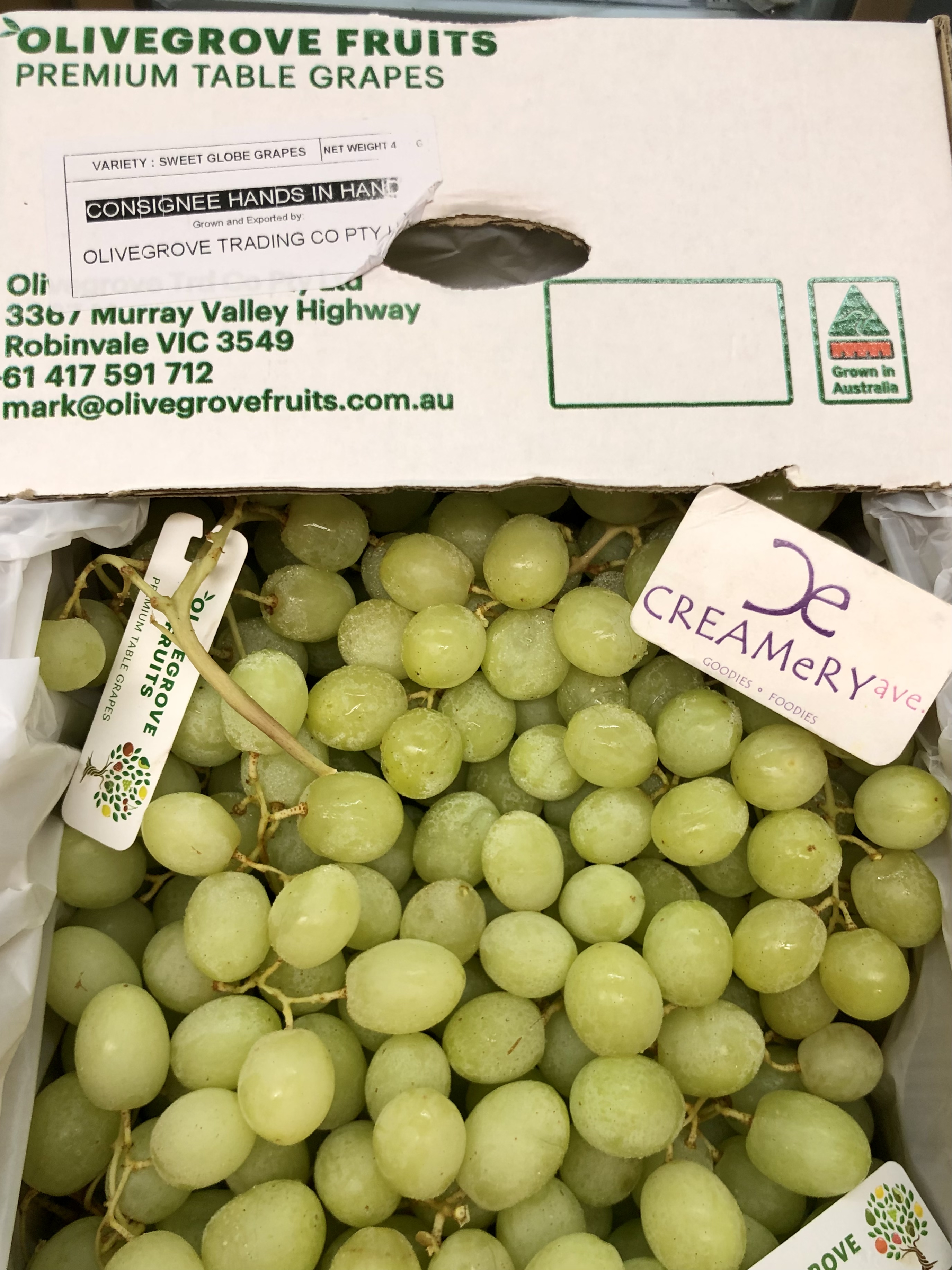 澳州 Olivegrove波子青提 Australia Premium Seedless Grape Green 2磅