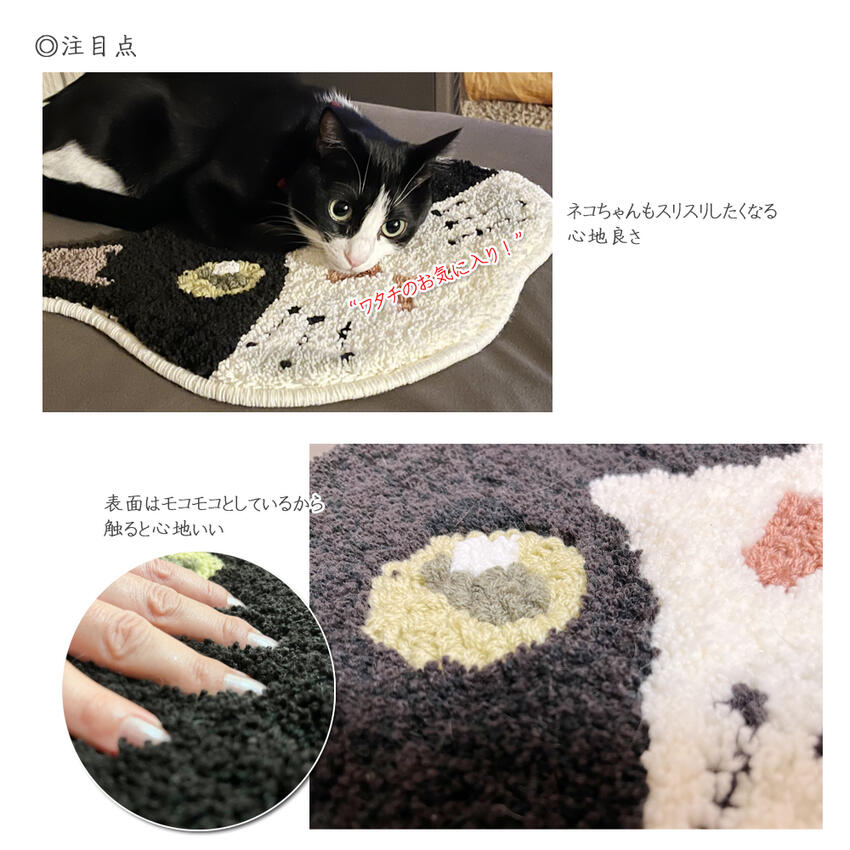 【搵返你屋企嗰隻貓】日本 NEKOKAO 療癒系貓臉椅墊｜13款神還原花色