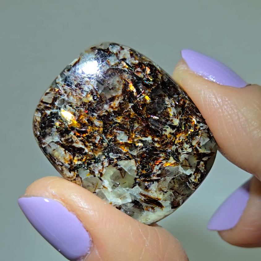 Astrophyllite cabochon with golden-bronze metallic inclusions - AST20