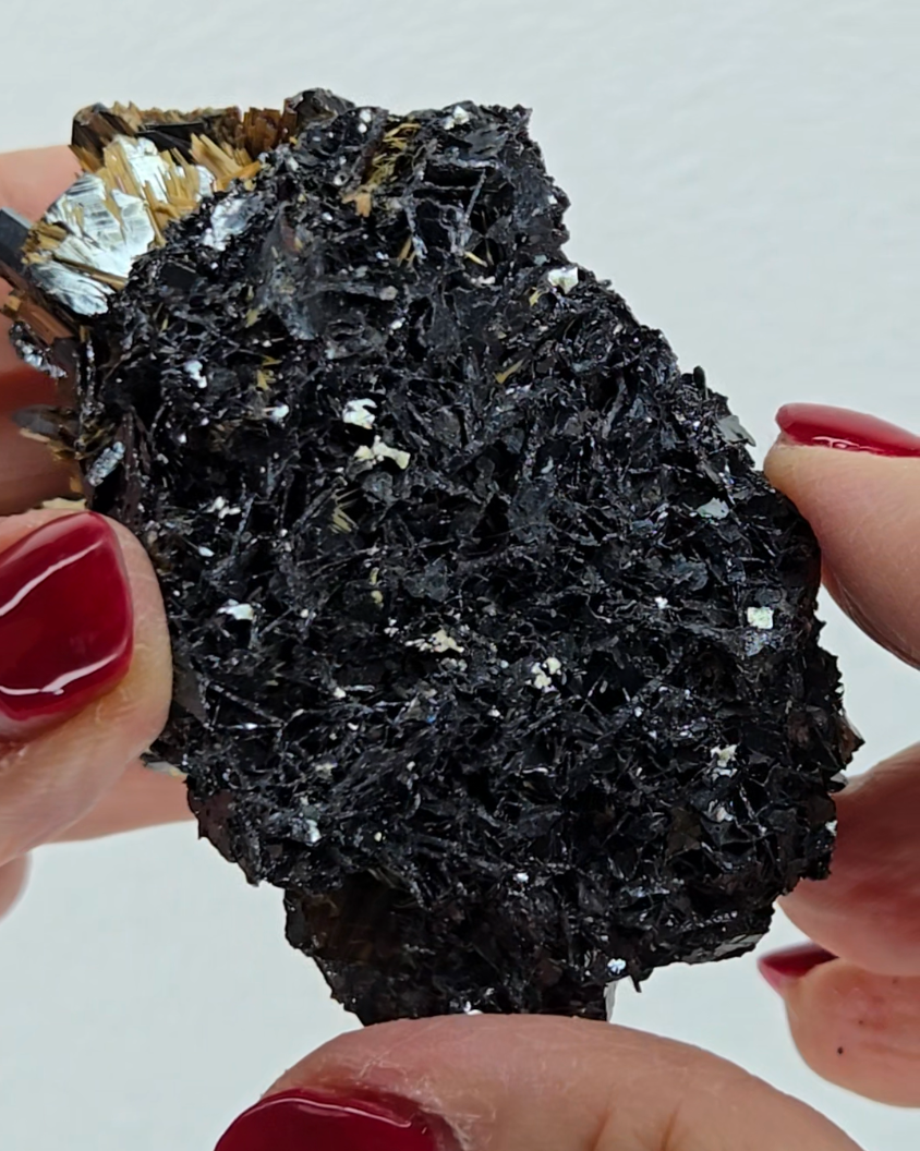 Golden exposed starburst rutiles on black hematite - RT288