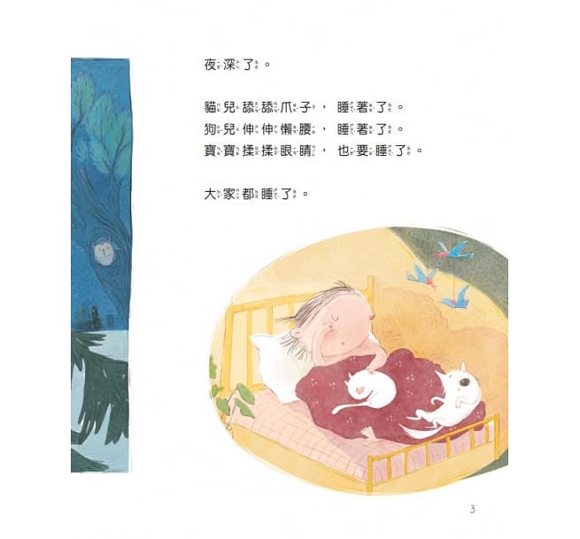 螢火蟲 凌晨4點，他們在做什麼？
