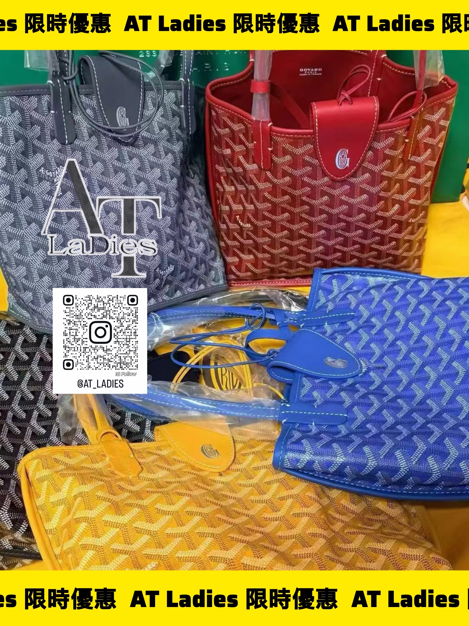 Goyard Anjou mini (手袋配有Croc Universel 皮革安全扣）