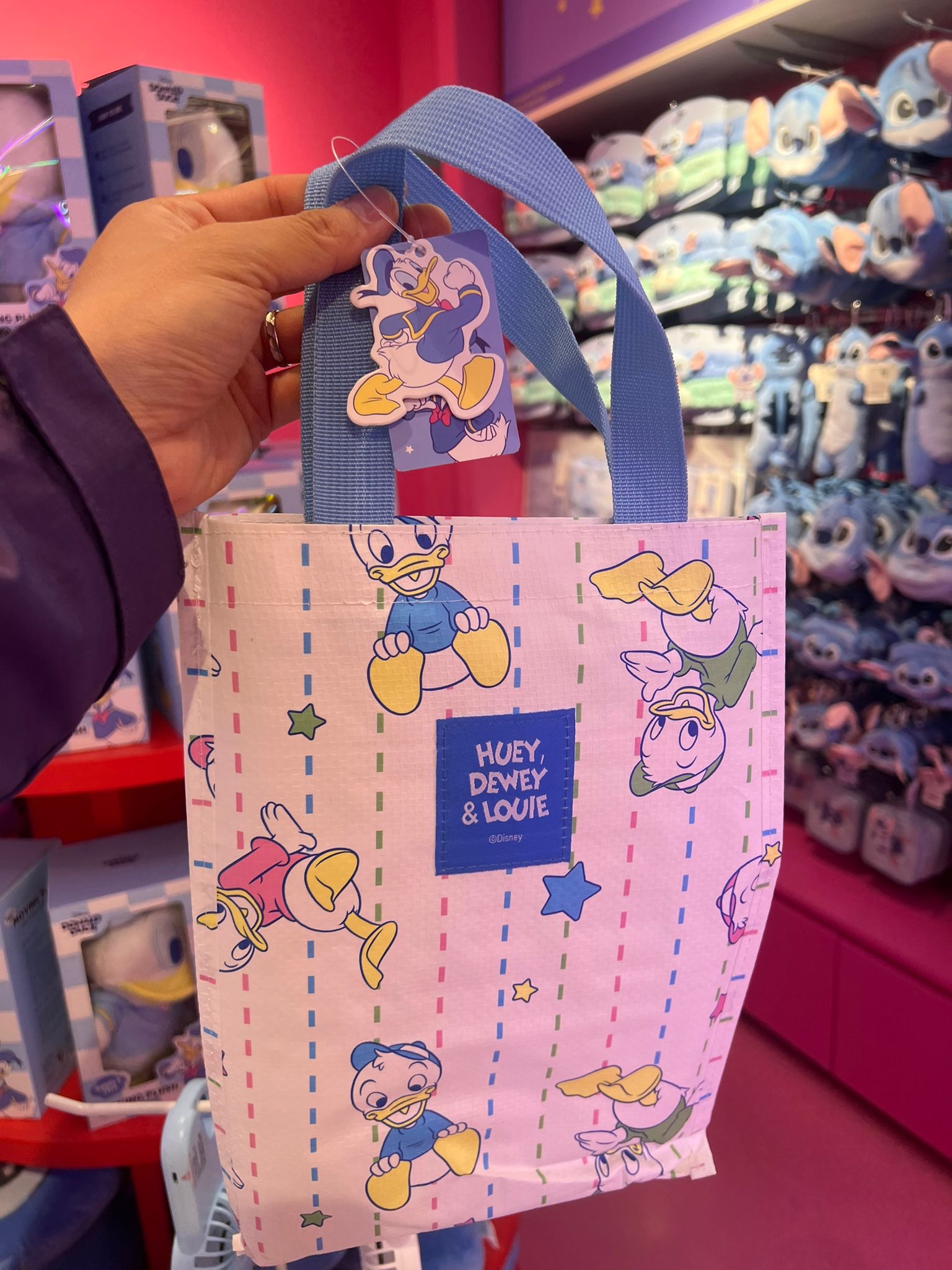 Donald Duck 防水野餐墊加環保袋