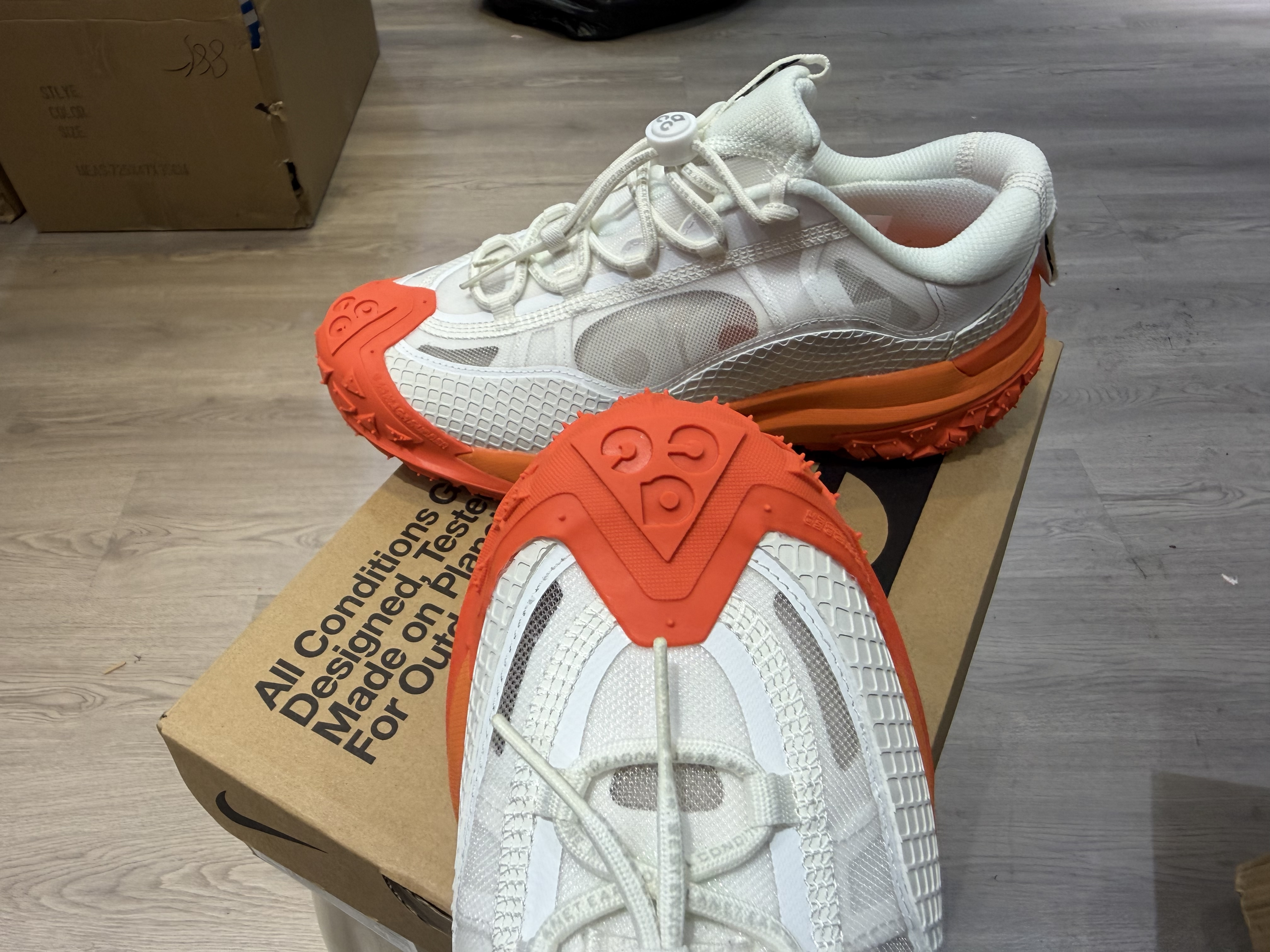 Nike ACG Mountain Fly 2 Low