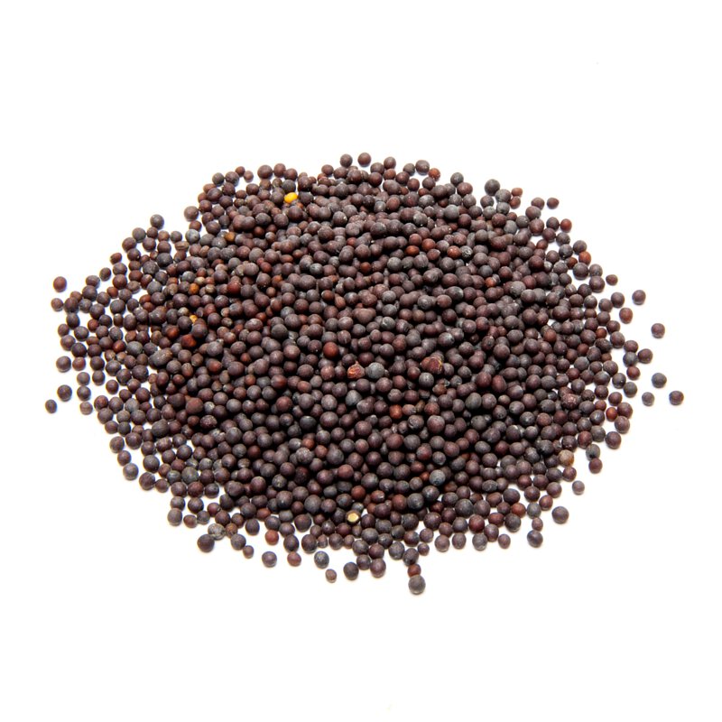 優質黑芥末籽 — 原粒飽滿．辛辣濃烈．爆香提味首選Premium Black Mustard Seeds — Plump & Pungent — Essential for Tempering & Picklingउत्तम काली सरसों के बीज — भरे हुए, तीखे — तड़के और अचार के लिए आवश्यक
