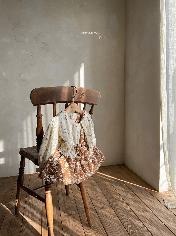 🇰🇷Anne shirley cardigan (不連背心）