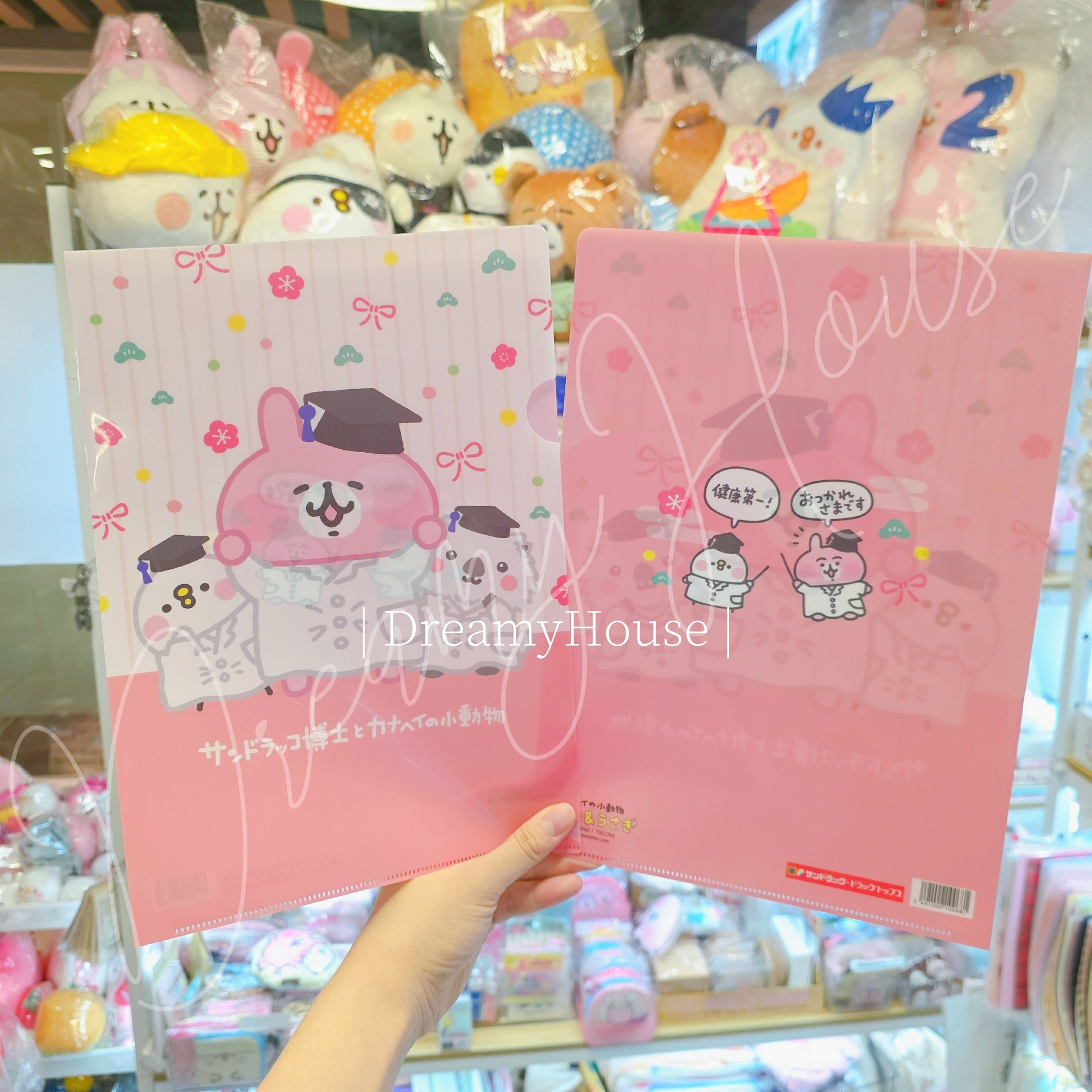 日本 kanahei × サンドラッコ博士 A4 File