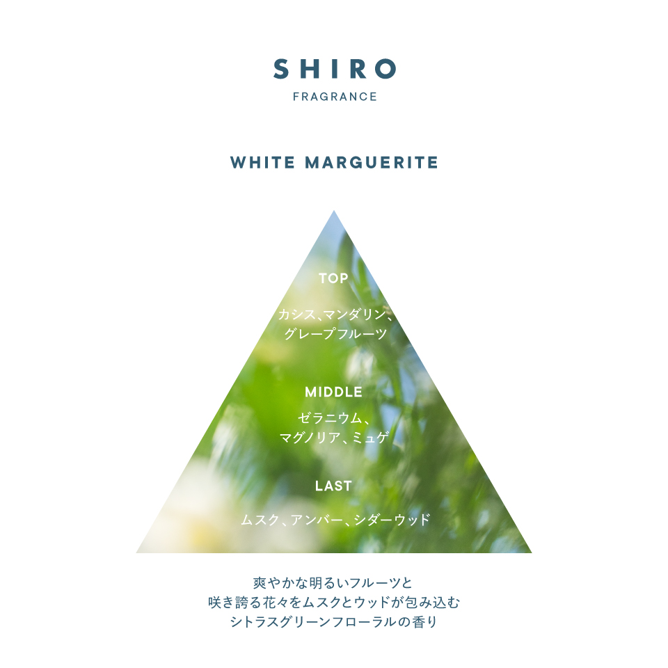 【✨️日本🇯🇵 SHIRO 全新「WHITE MARGUERITE」清新柑橘綠葉花香系列✨️】Hair Balm 護髮膏