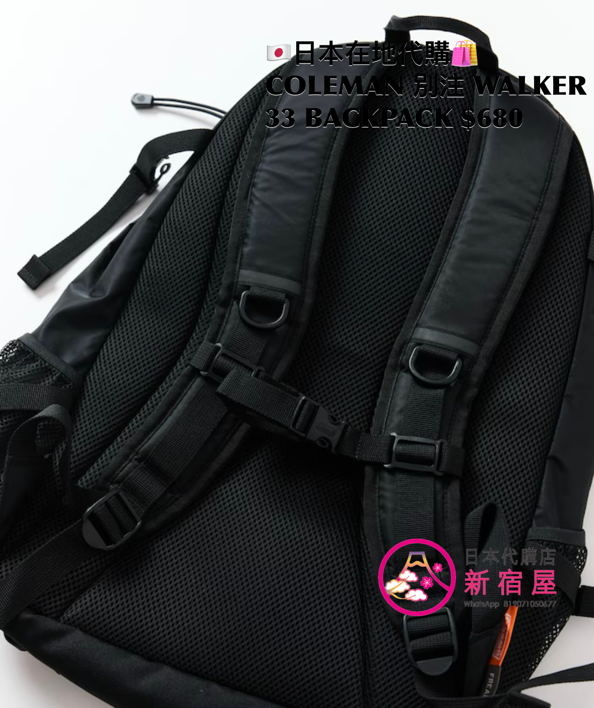COLEMAN 別注 WALKER 33 BACKPACK