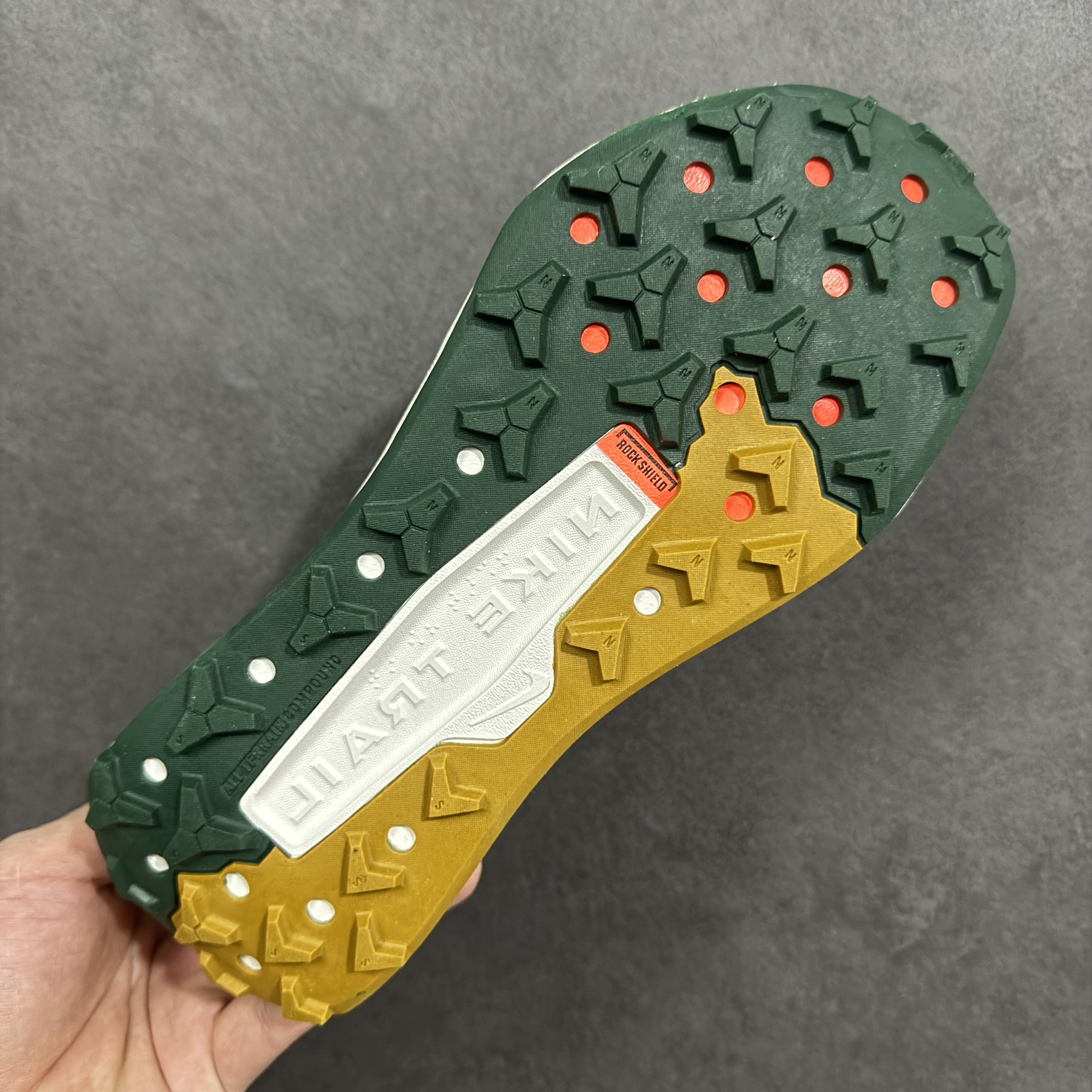 Nike Wildhorse 10 FV2338-005