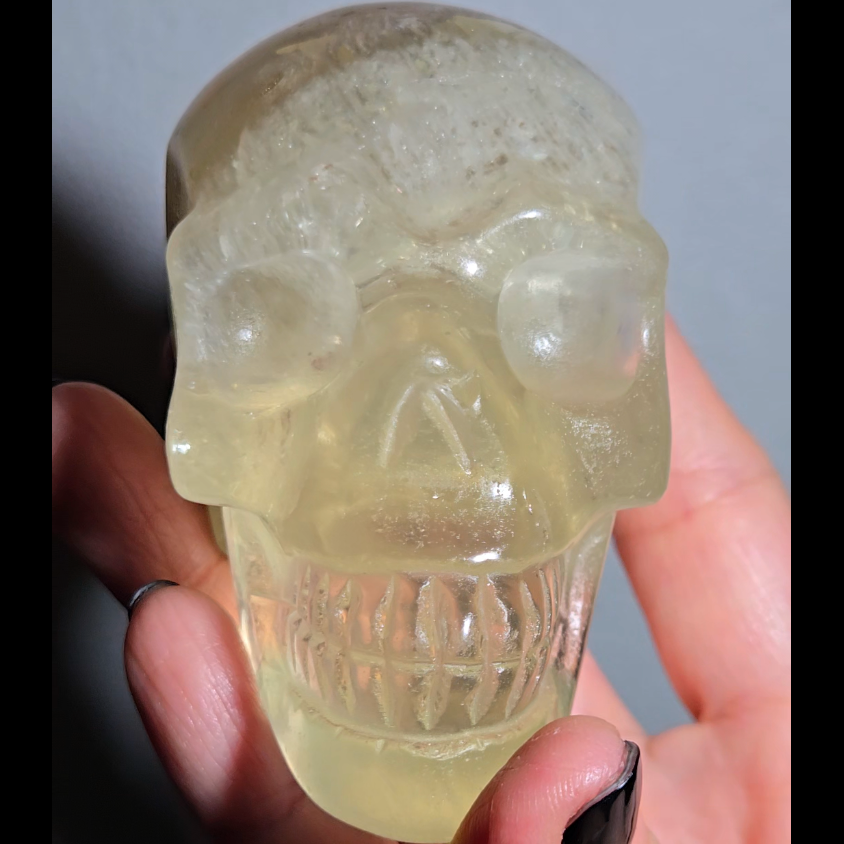 Citrine skull with rainbows and star flash asterism - C66