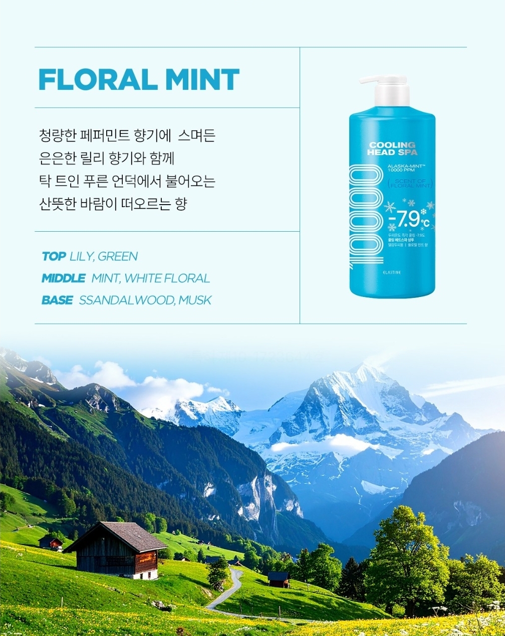 🌿 ELASTINE Cooling Head Spa 10000 Cool Menthol Shampoo 1L