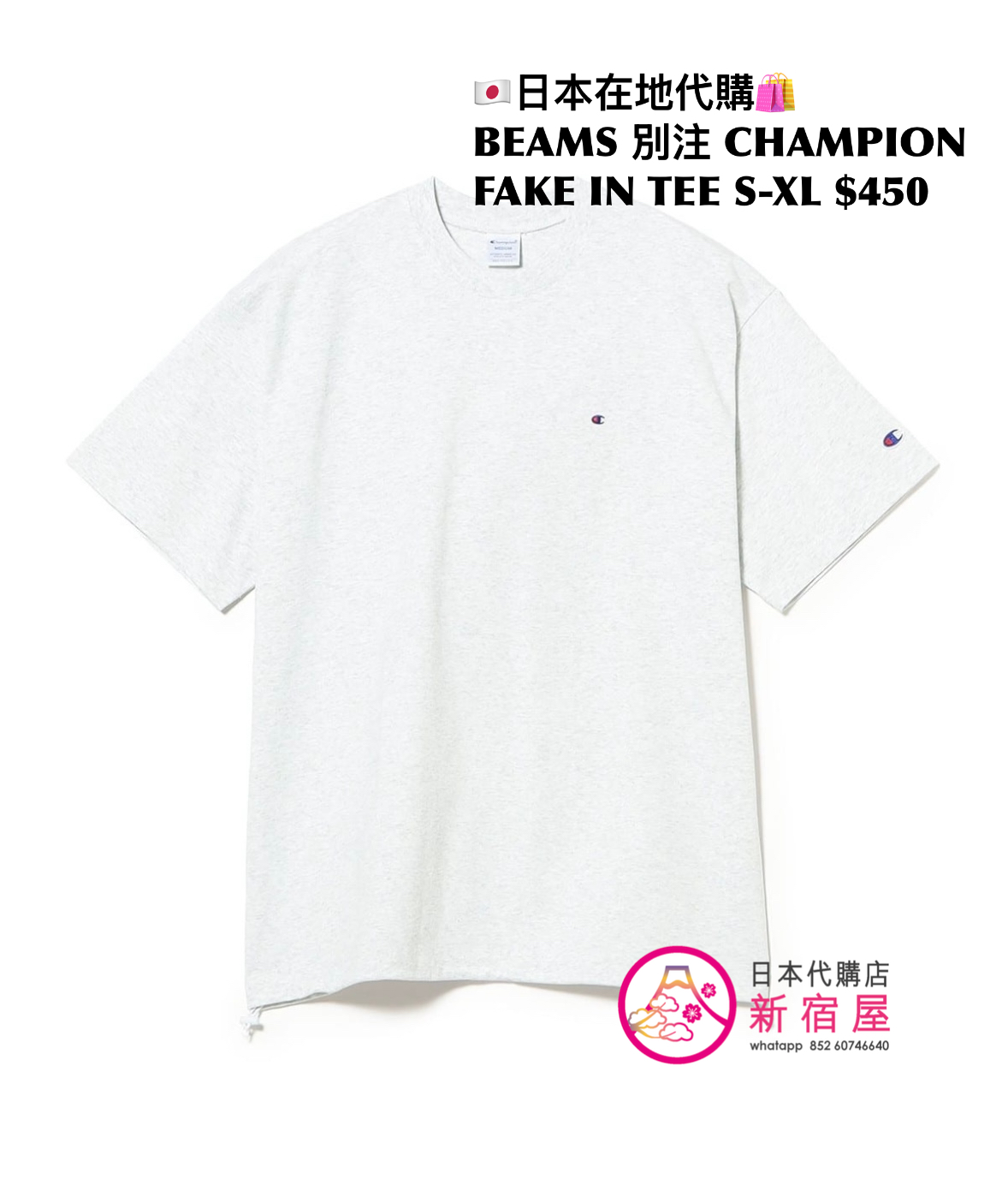 BEAMS 別注 CHAMPION FAKE IN T-SHIRT