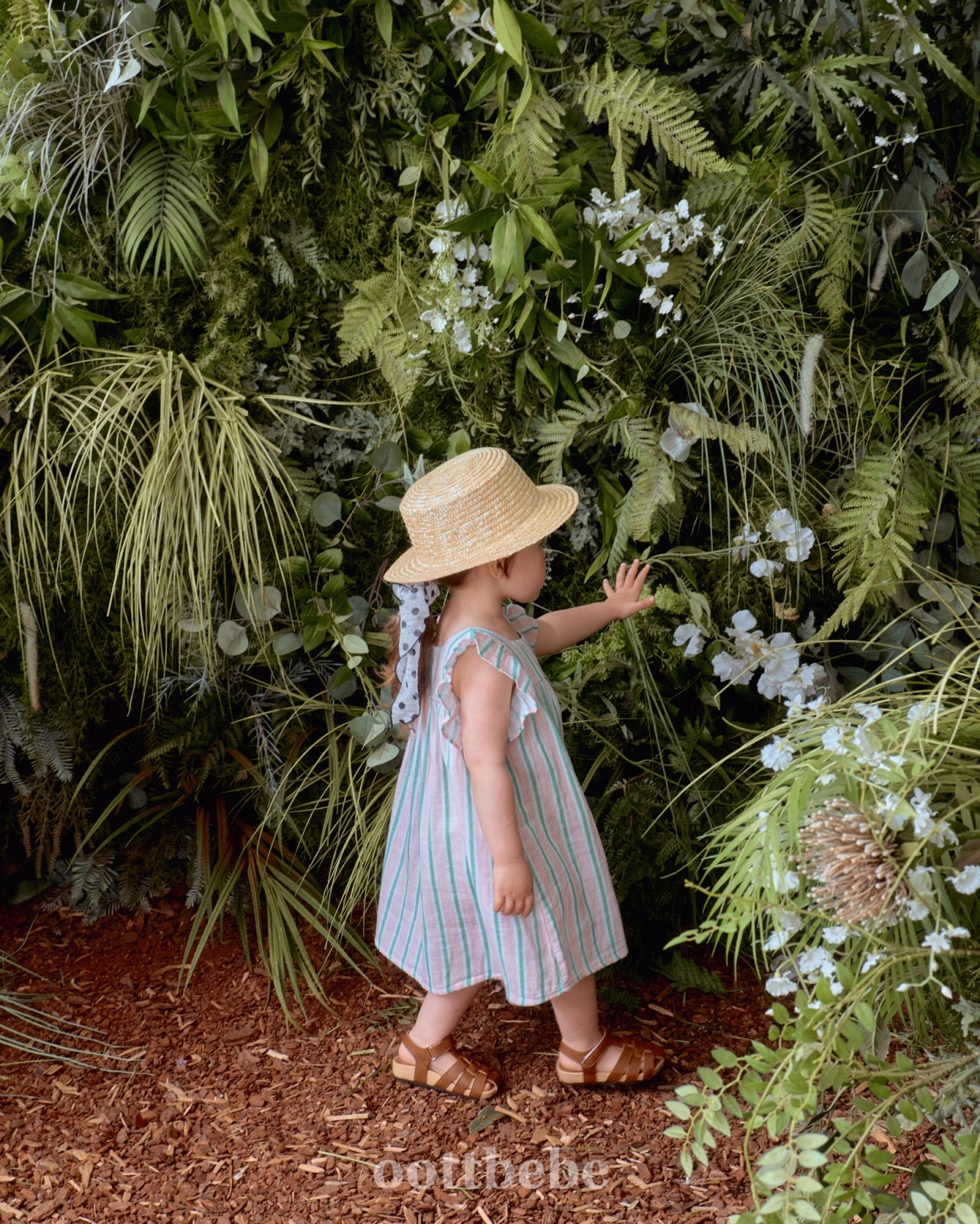 OOTT | Candy OPS (Pink L105-115)