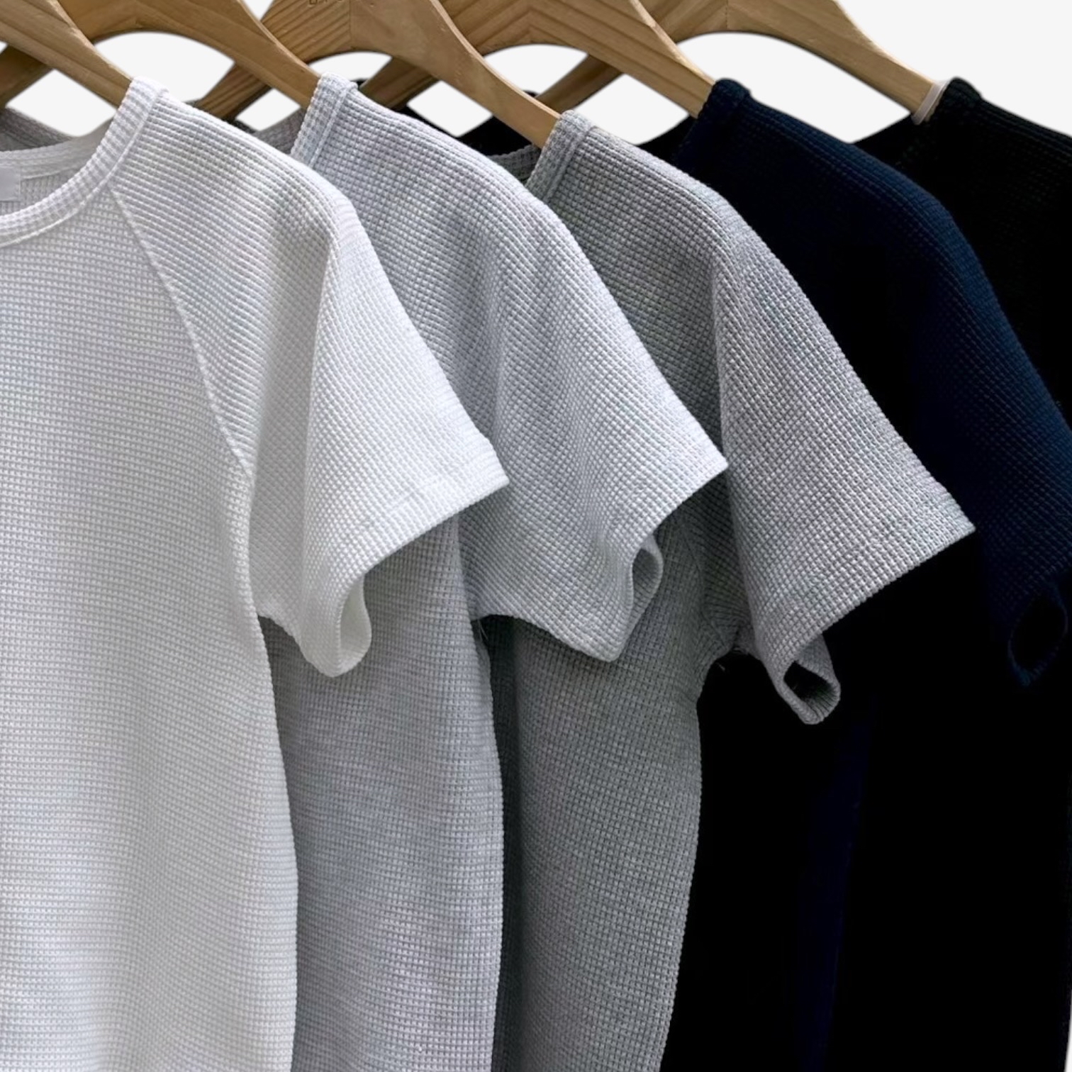 221059 格紋淨色Tee