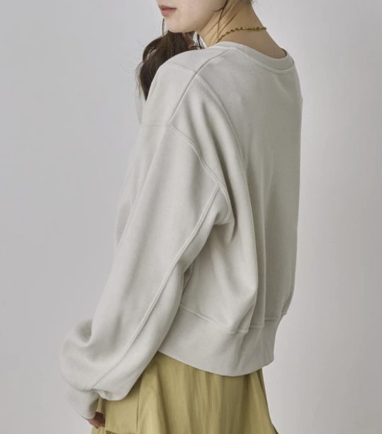 亮片短版套頭衫 - 2026 流行穿搭  短版套頭衫 春夏秋時尚穿搭 成人休閒 日常穿搭 易於配搭 日本直送   #JP-I-260008