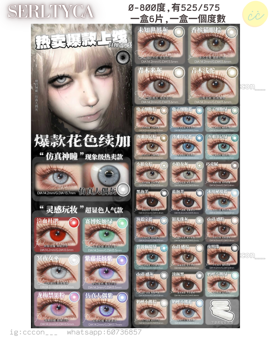 Serltyca 日拋6片裝 色版