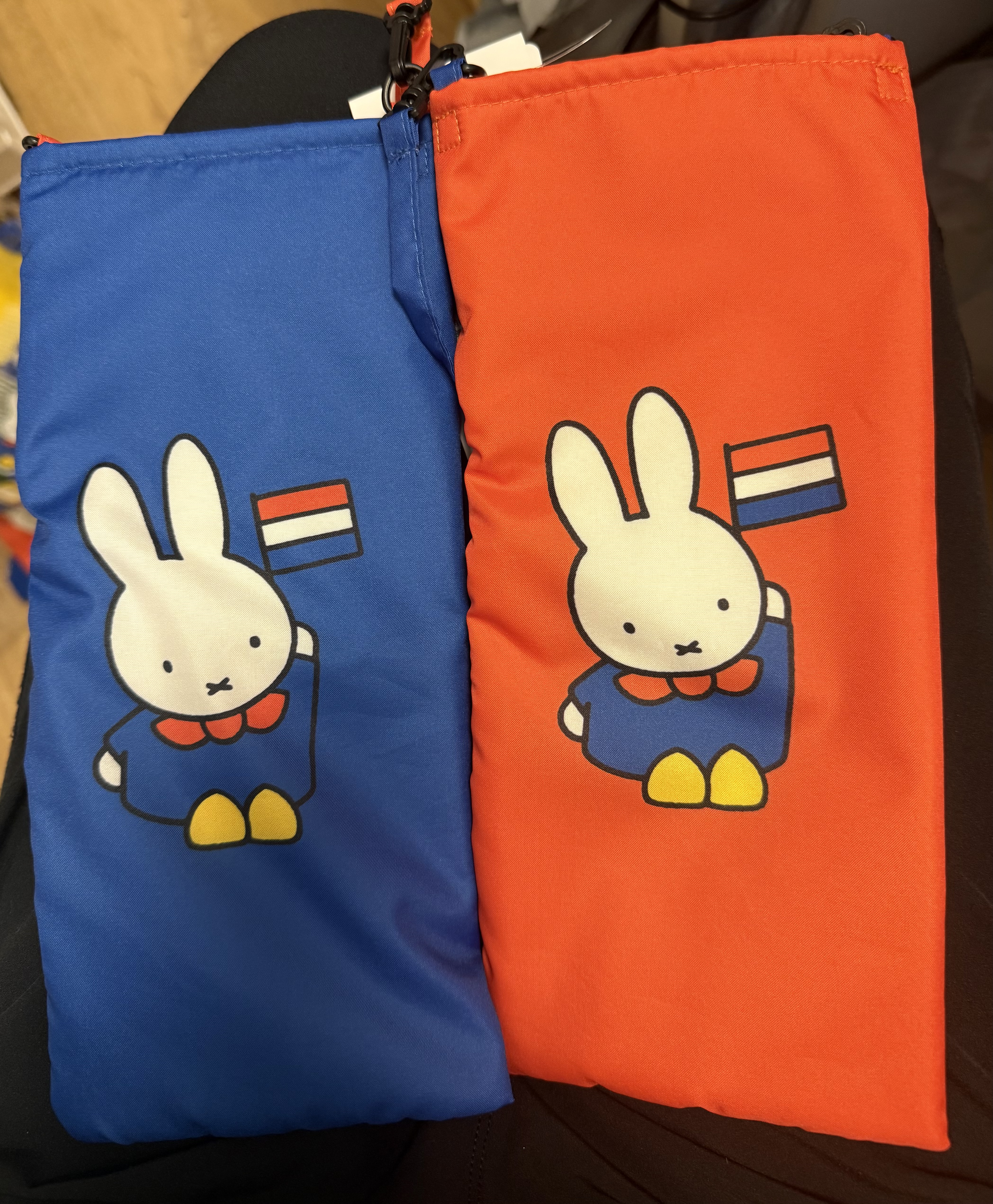 新貨到店 [日本直送] 豪斯登堡限定 Water-repellent treatment 環保吸水袋 