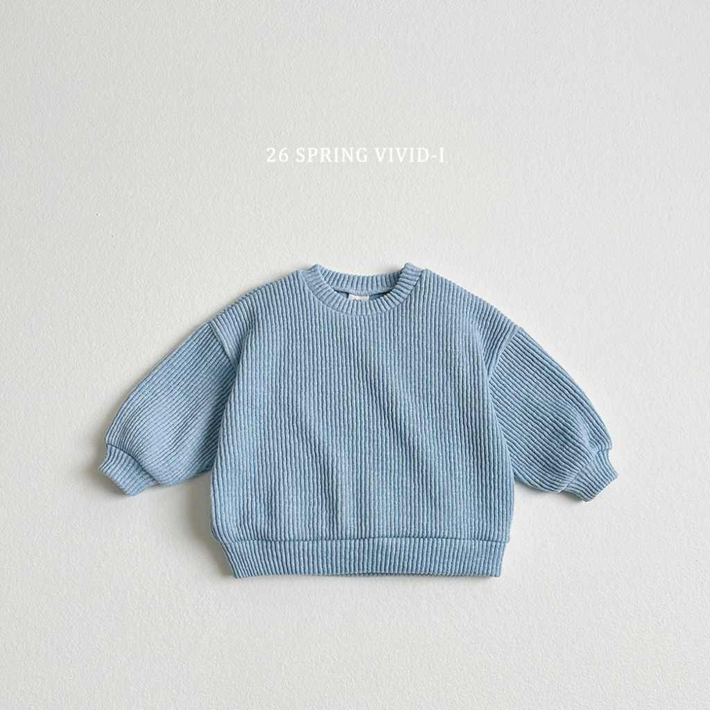 🌸預訂 韓國直送🌸🇰🇷VIVIDI三色寬鬆羅紋針織衛衣