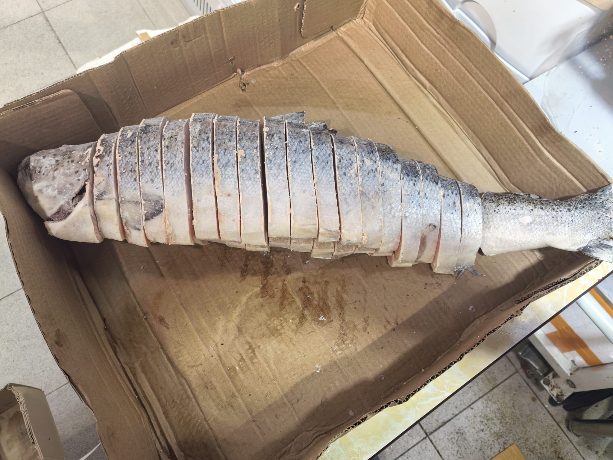 美國野生銀鱈魚（原條）