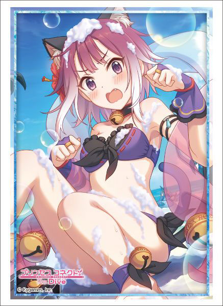 HG卡套 公主連結 Vol.2560 プリンセスコネクト！Re：Dive『タマキ 水着ver.』
