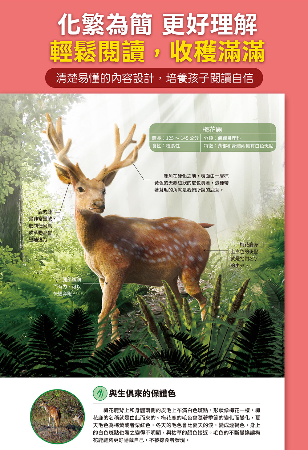 風車 動物大百科