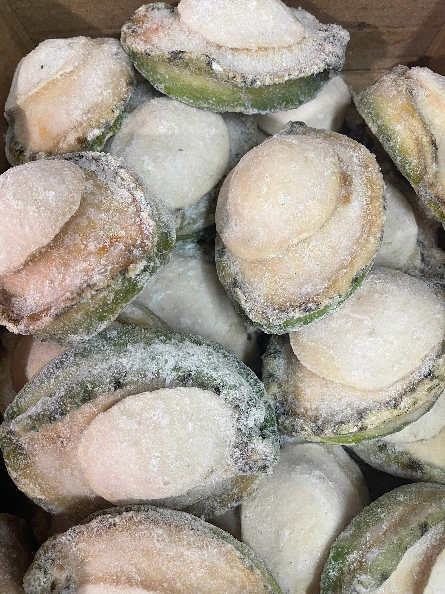 澳洲青邊鮑魚（約280g-320g）