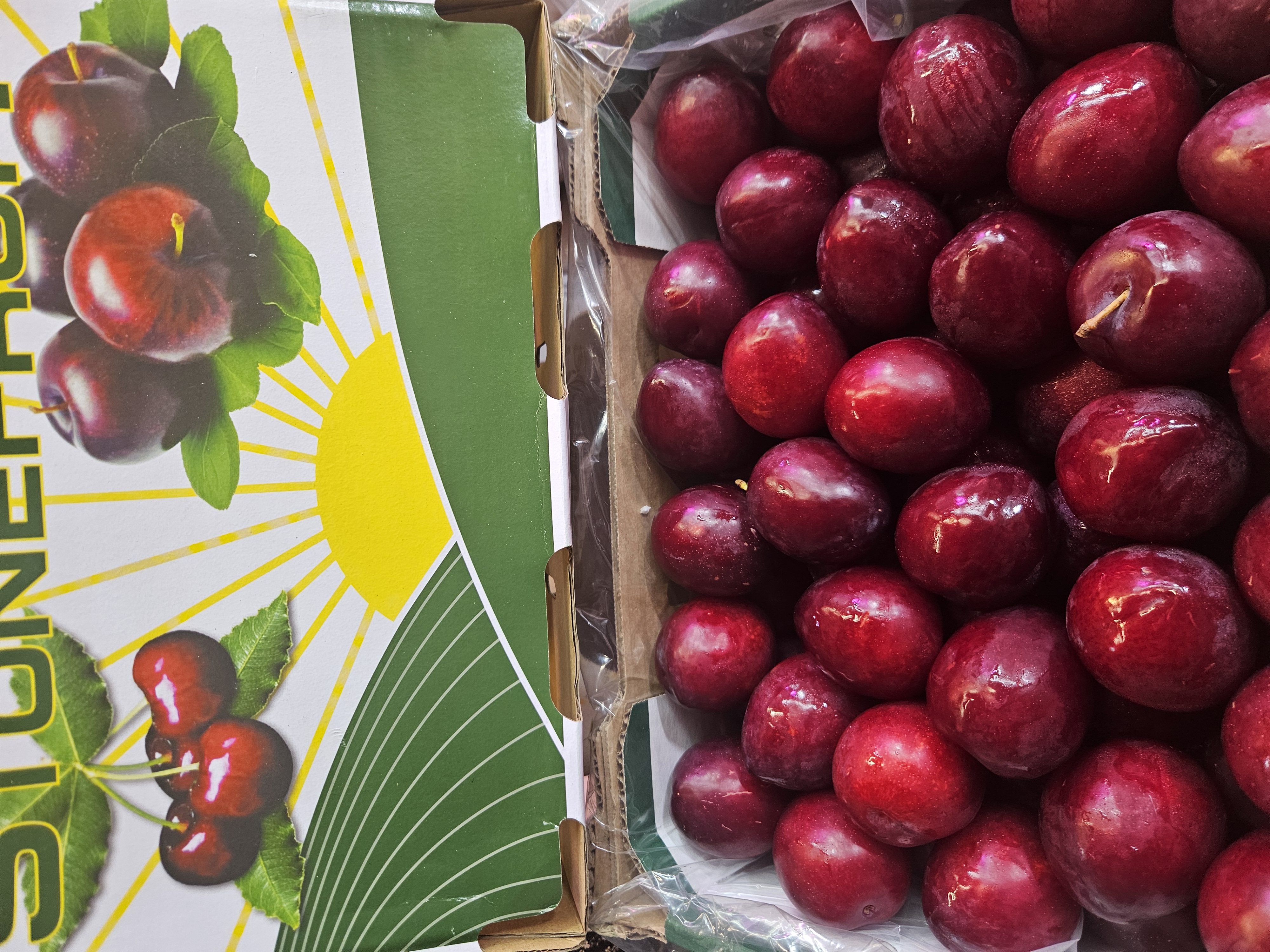 澳洲特級雞心李 每磅