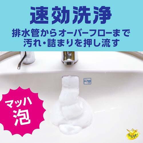 地球製藥 - Earth Chemical 洗臉台 排水管除菌消臭泡泡潔淨噴劑 200ml  (平行進口)