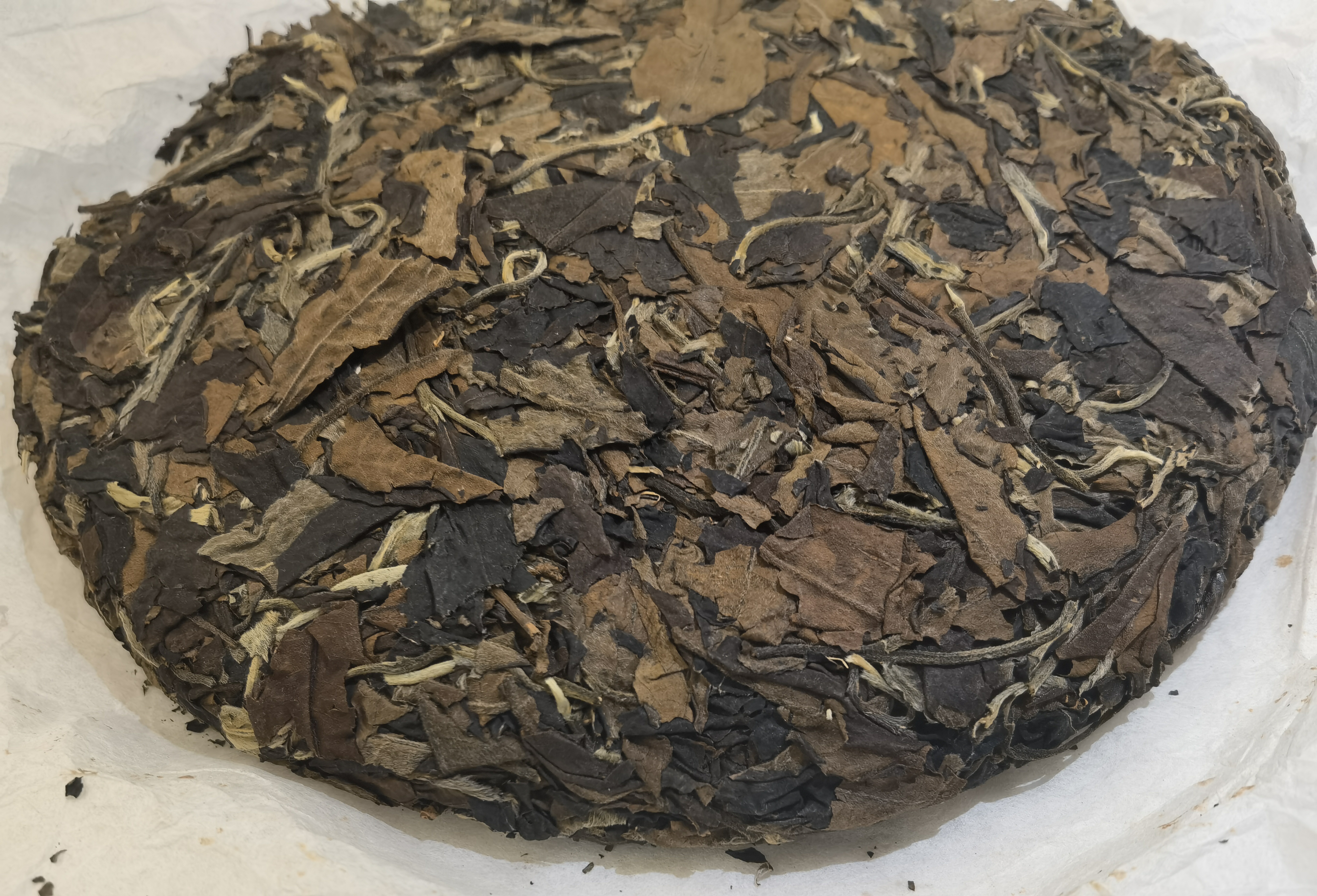 2018年 古樹白茶 (自家收藏)