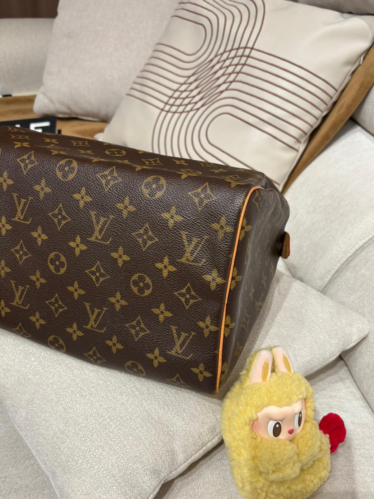 Lv speedy 30 monogram 100%Authentic,92%new✅塵袋 
