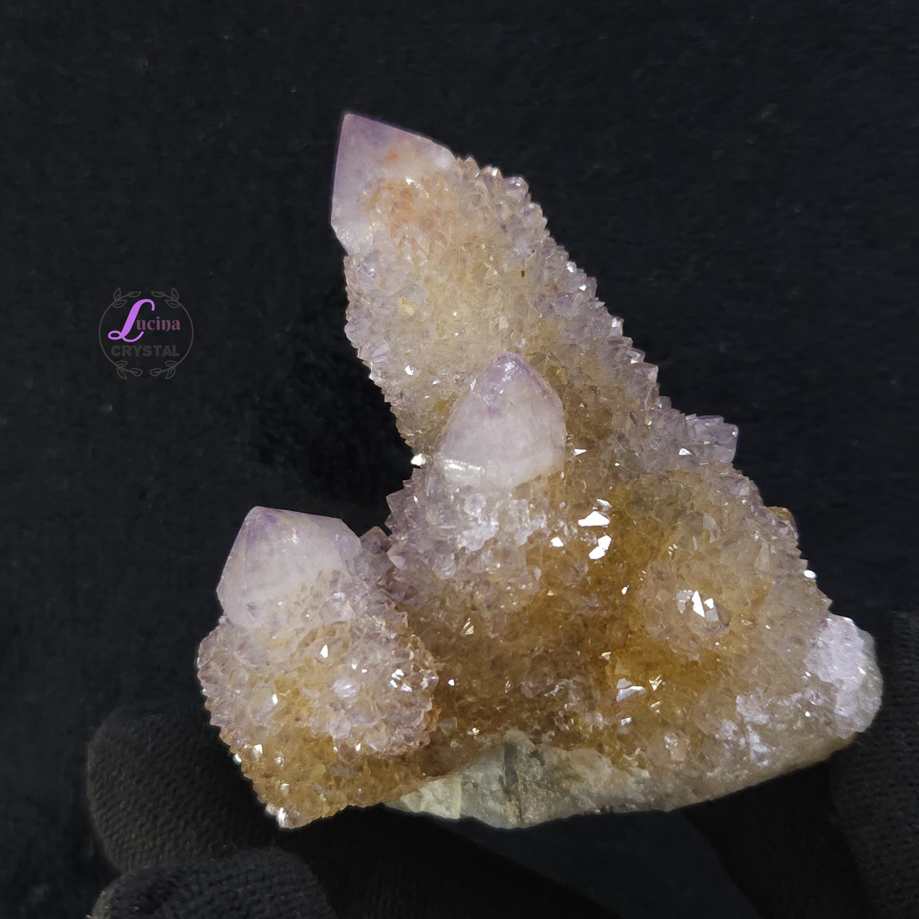 (Co#LC8559) 仙人掌紫水晶/Cactus Amethyst Cluster