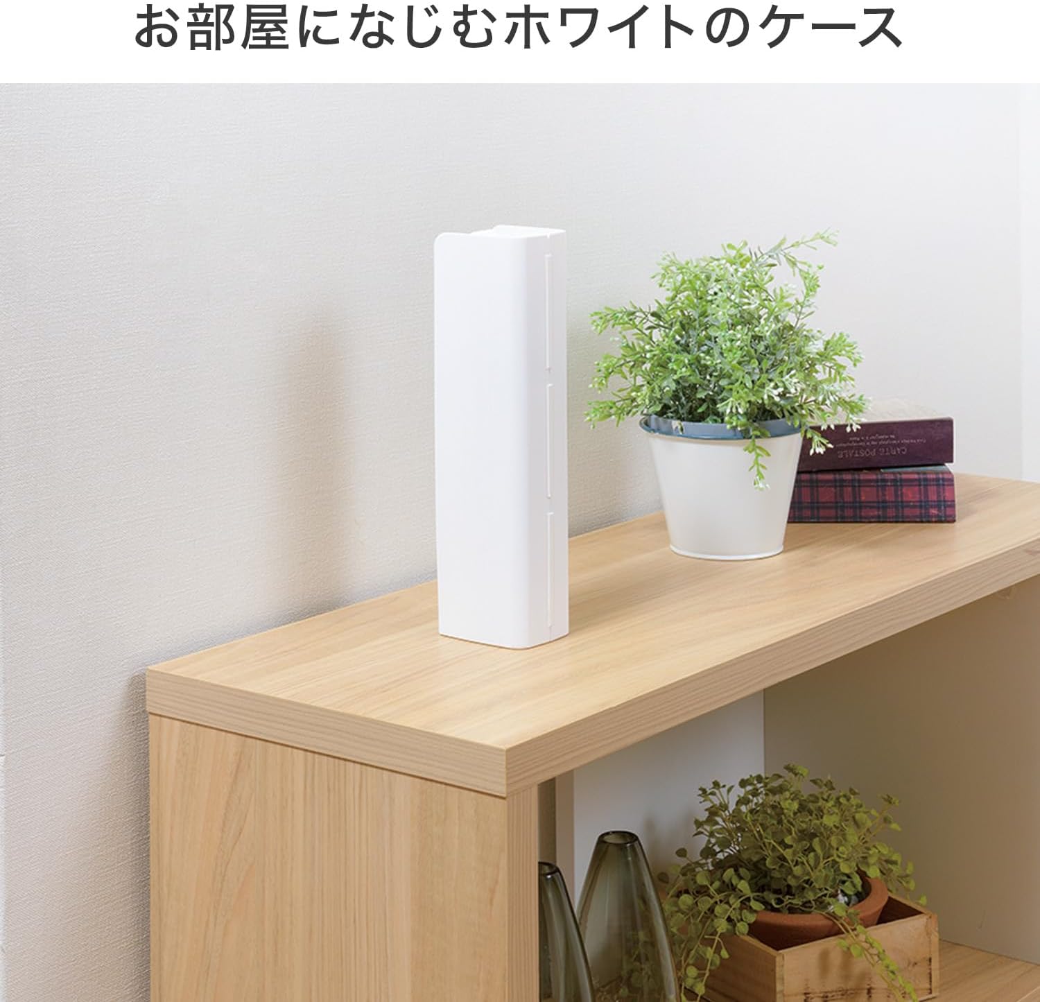 🔥🔥【日本直送《LEC》激落君附收納盒伸縮除塵刷】