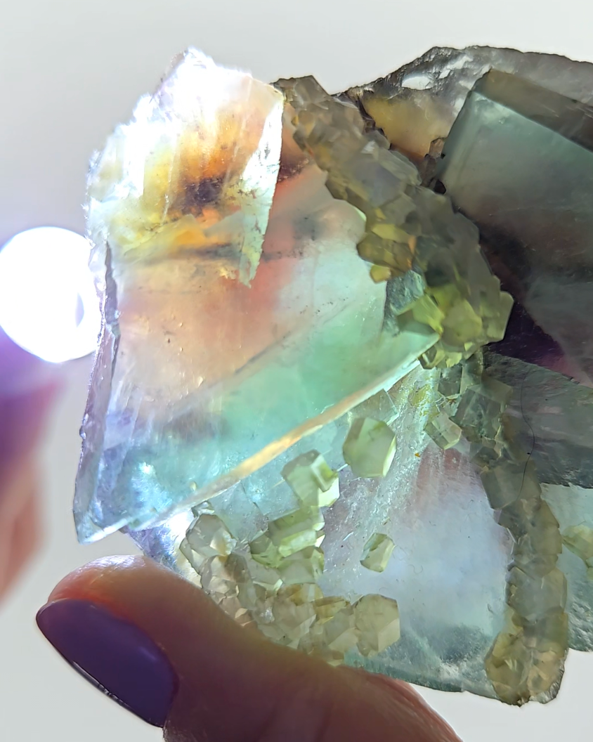 Red phantom fluorite with columnar calcite - FL227