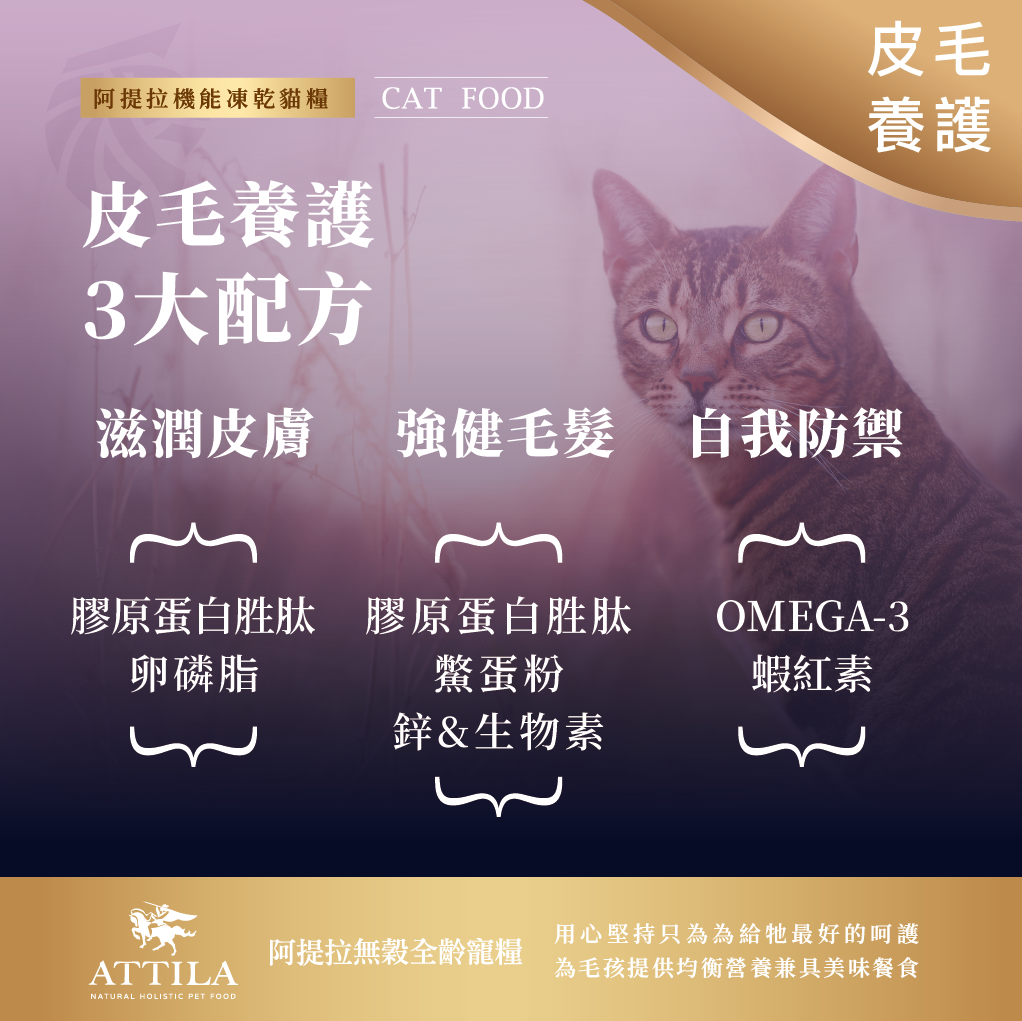 阿提拉凍乾機能無穀貓糧 (五種特選魚) 