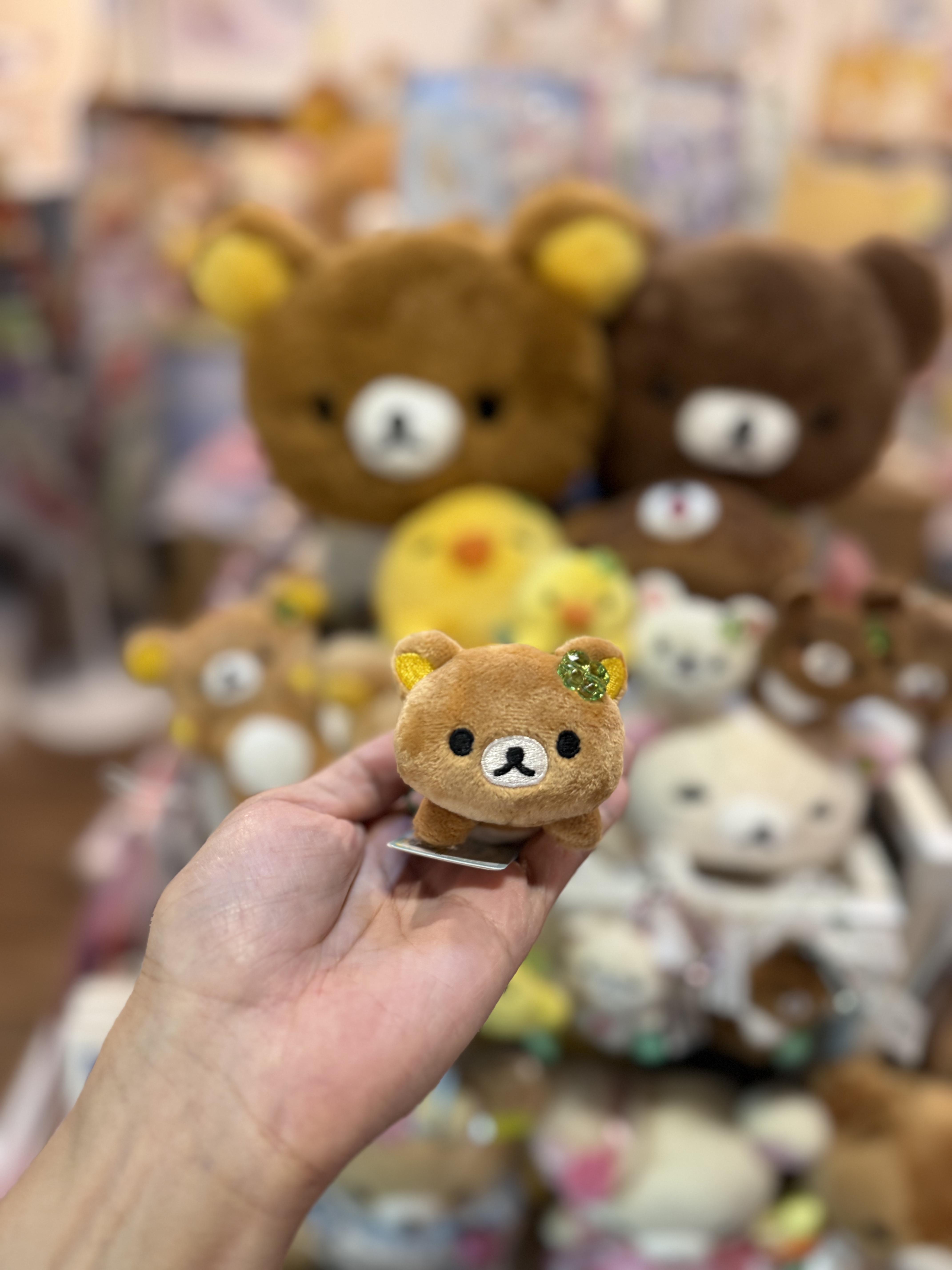 《現貨》全新小熊10週年紀念四葉草系列趴地手玉公仔