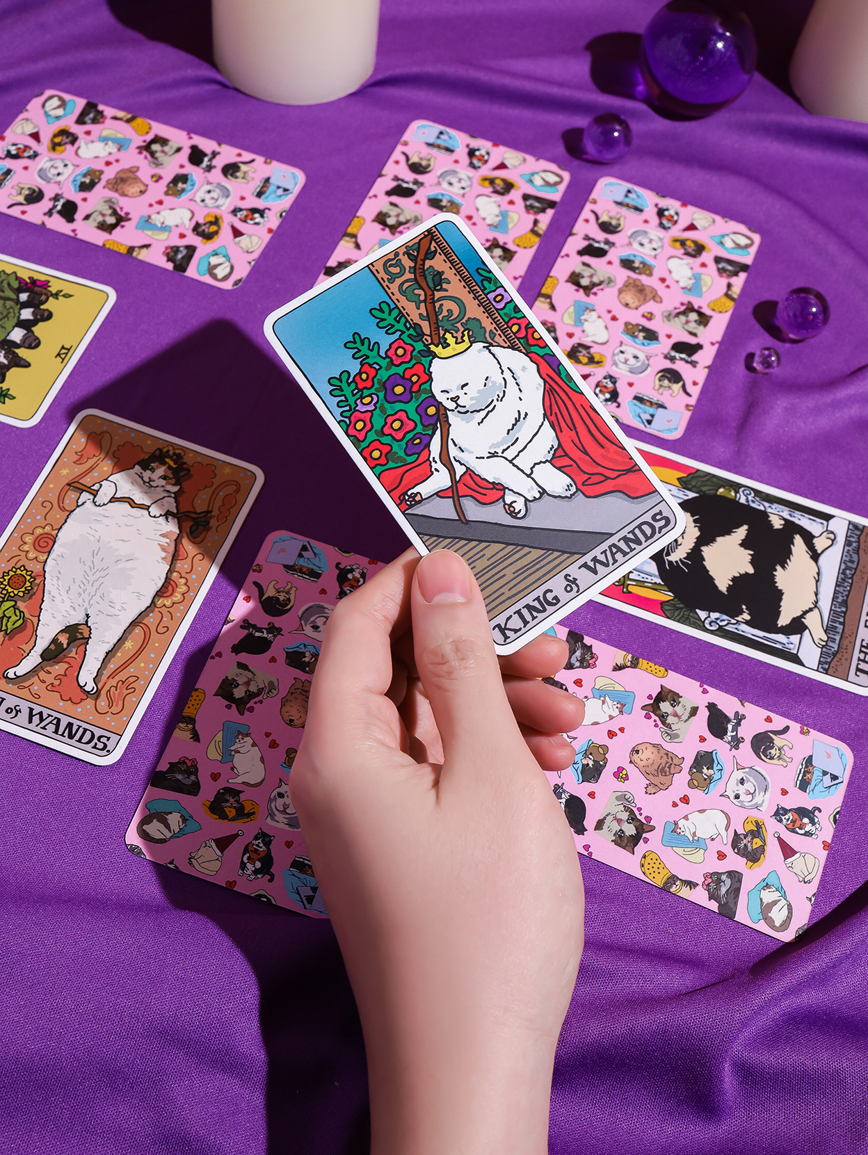 預購 Cat Meme Tarot Full Deck