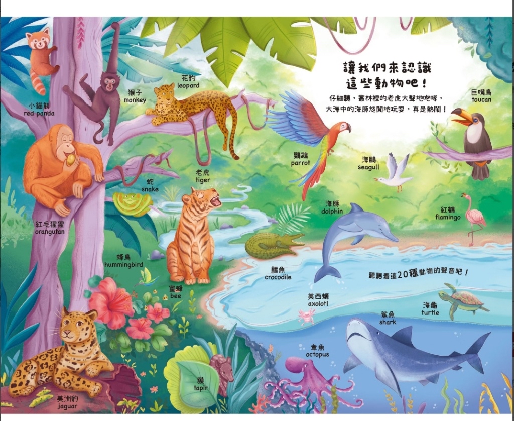禾流 聽見100種聲音 我知道這些可愛的動物
